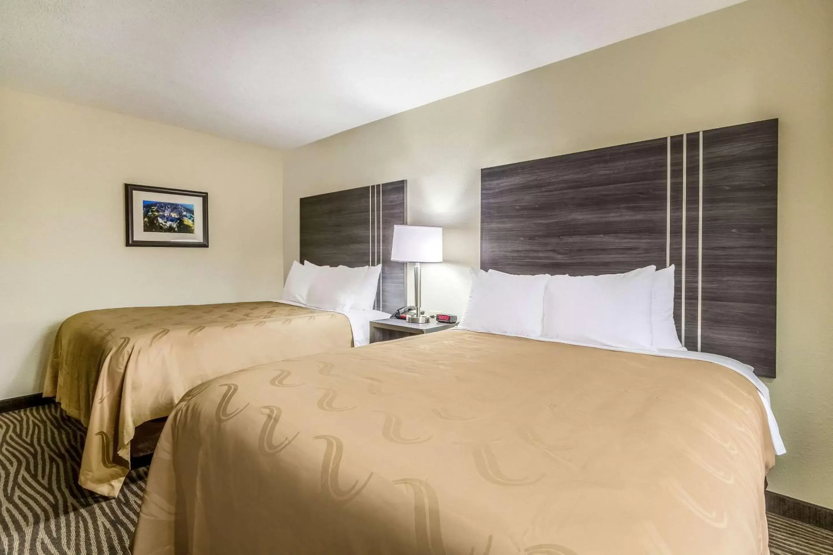 Photo of the whole room, Bed in Quality Inn & Suites North Lima - Boardman