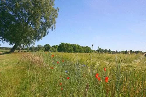 Nearby landmark in Biohotel Spöktal