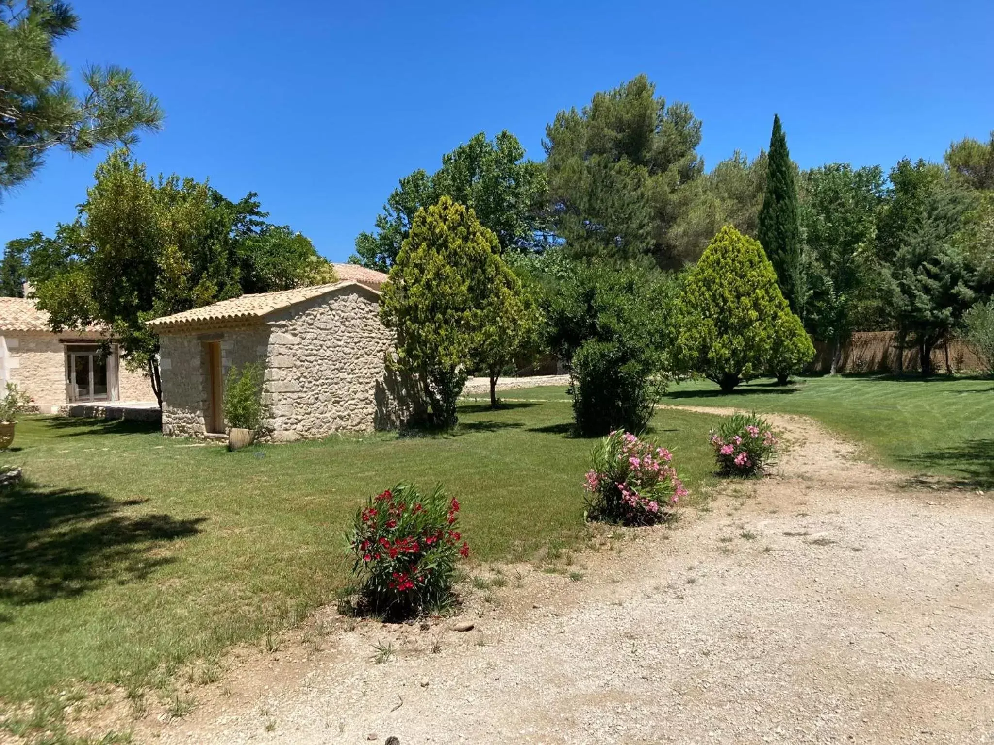 Garden, Property Building in Mas Galinette