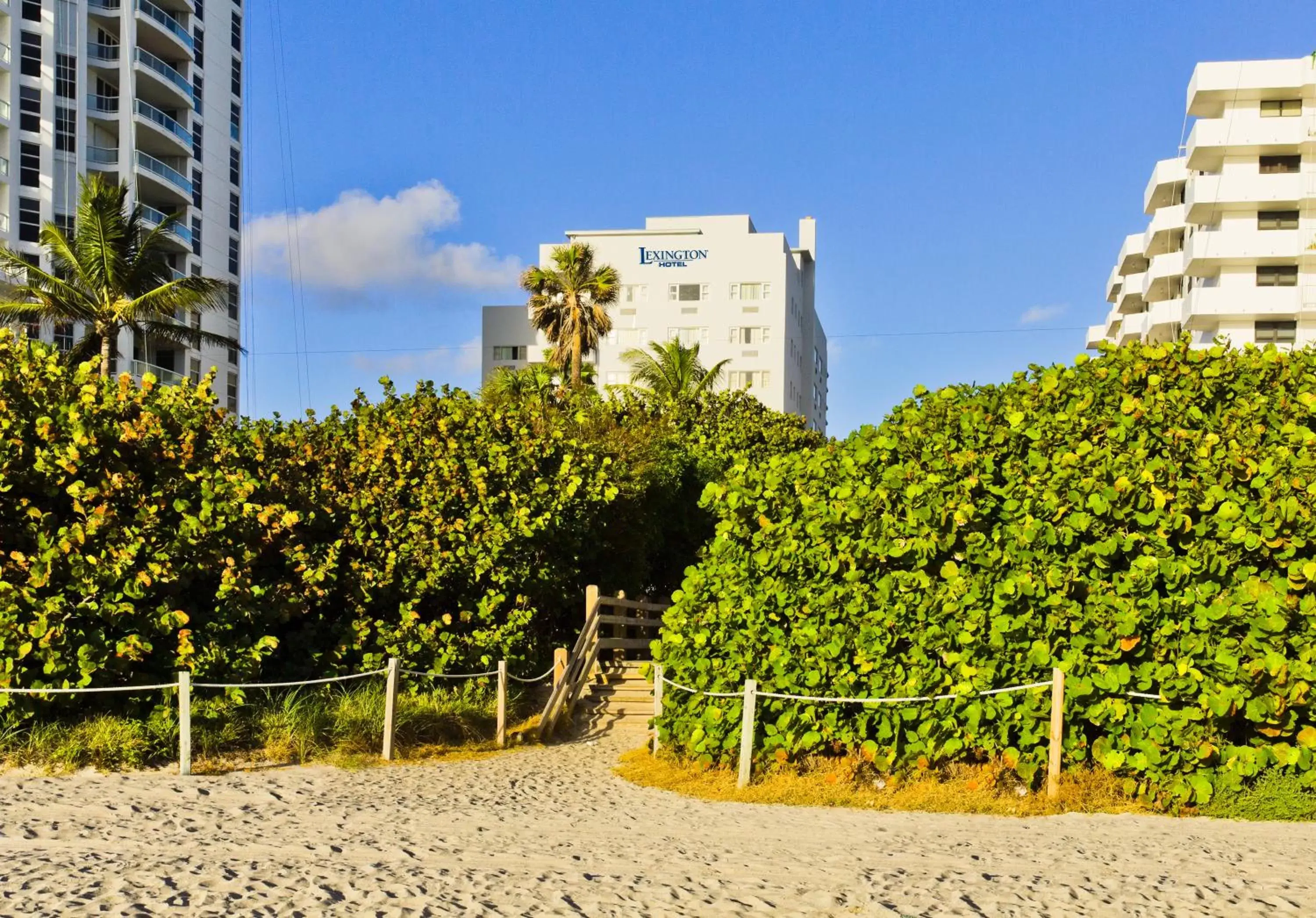 Beach, Property Building in Lexington by Hotel RL Miami Beach