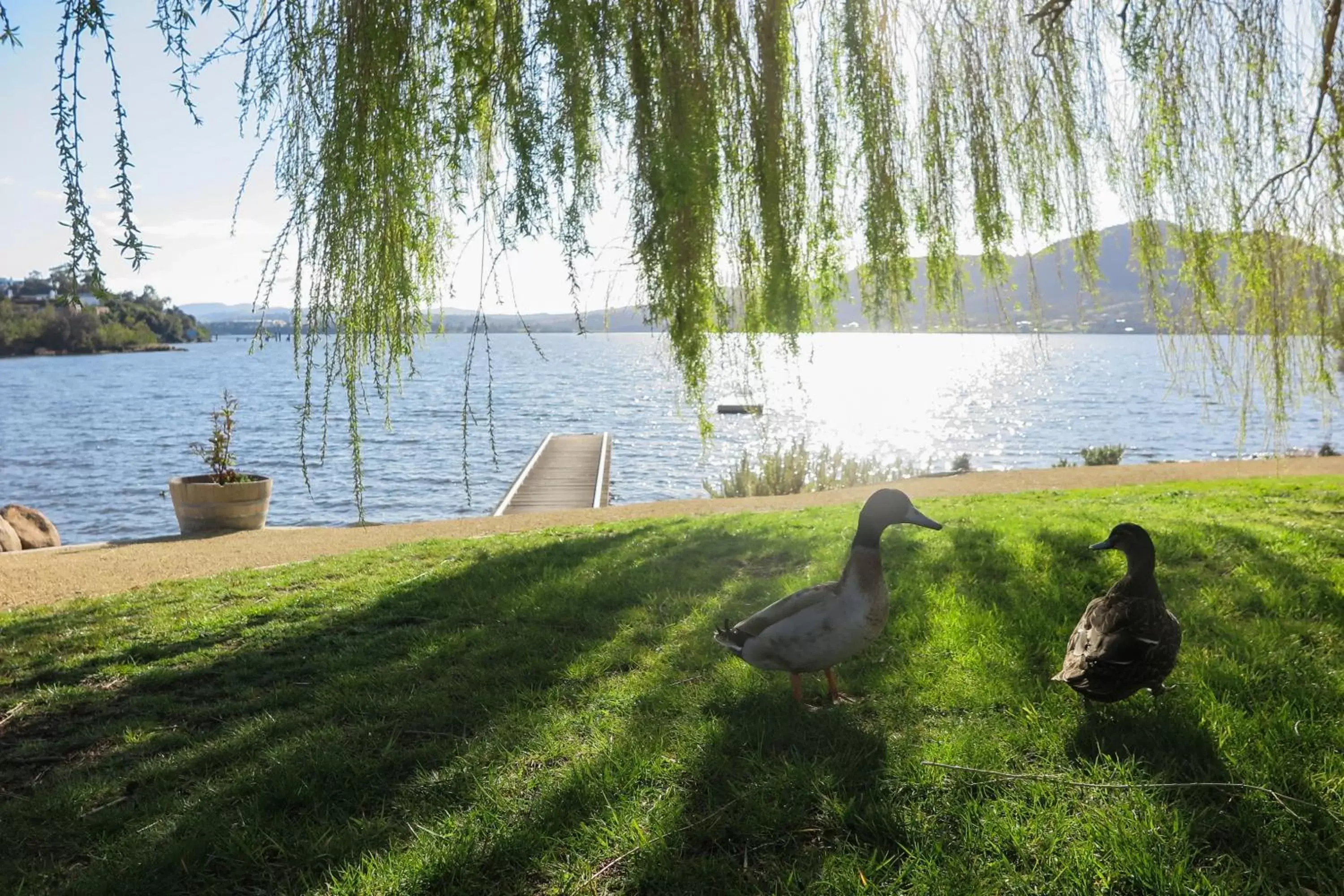 River view, Other Animals in Riverfront Motel & Villas