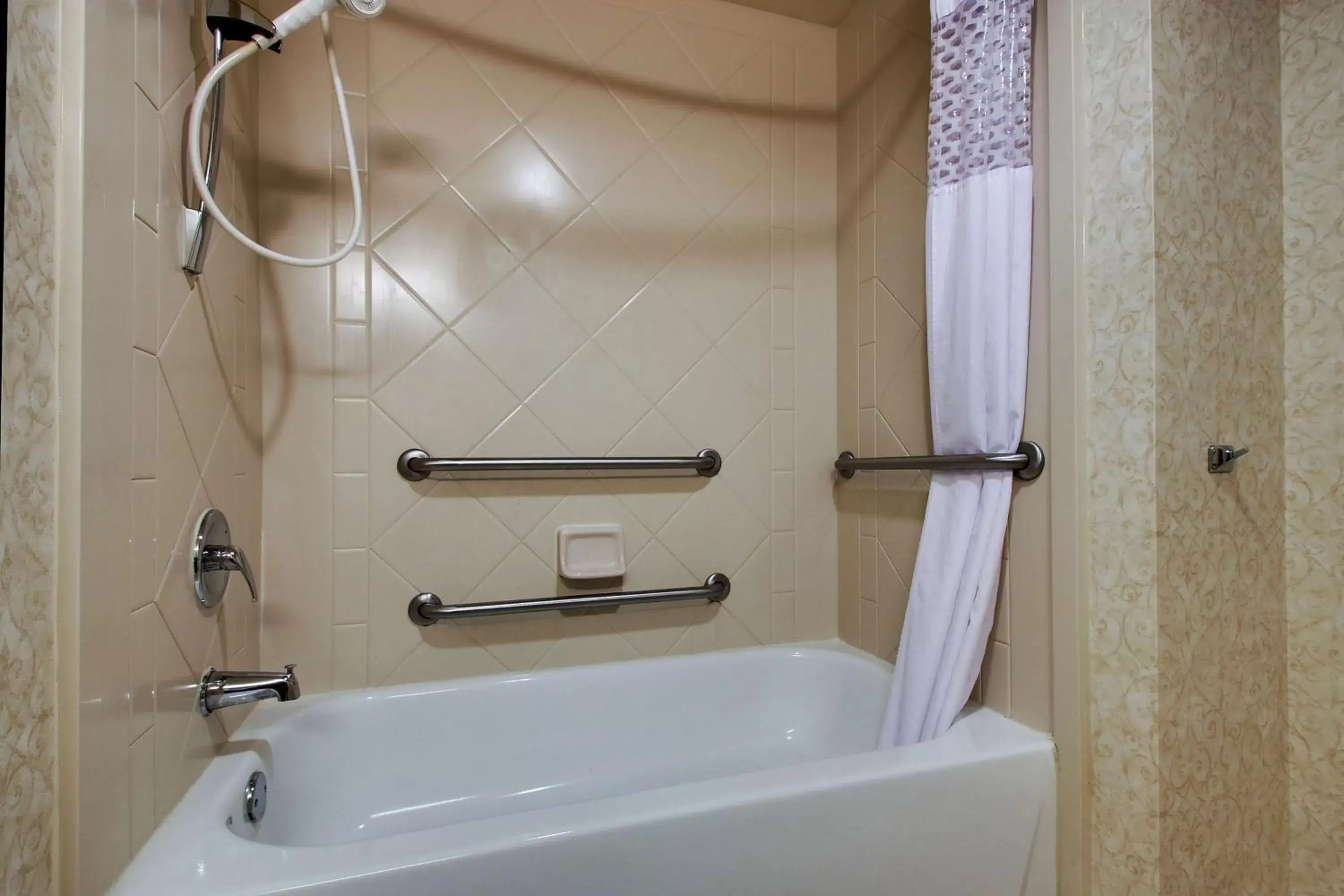 Bathroom in Hampton Inn & Suites Spartanburg-I-26-Westgate Mall