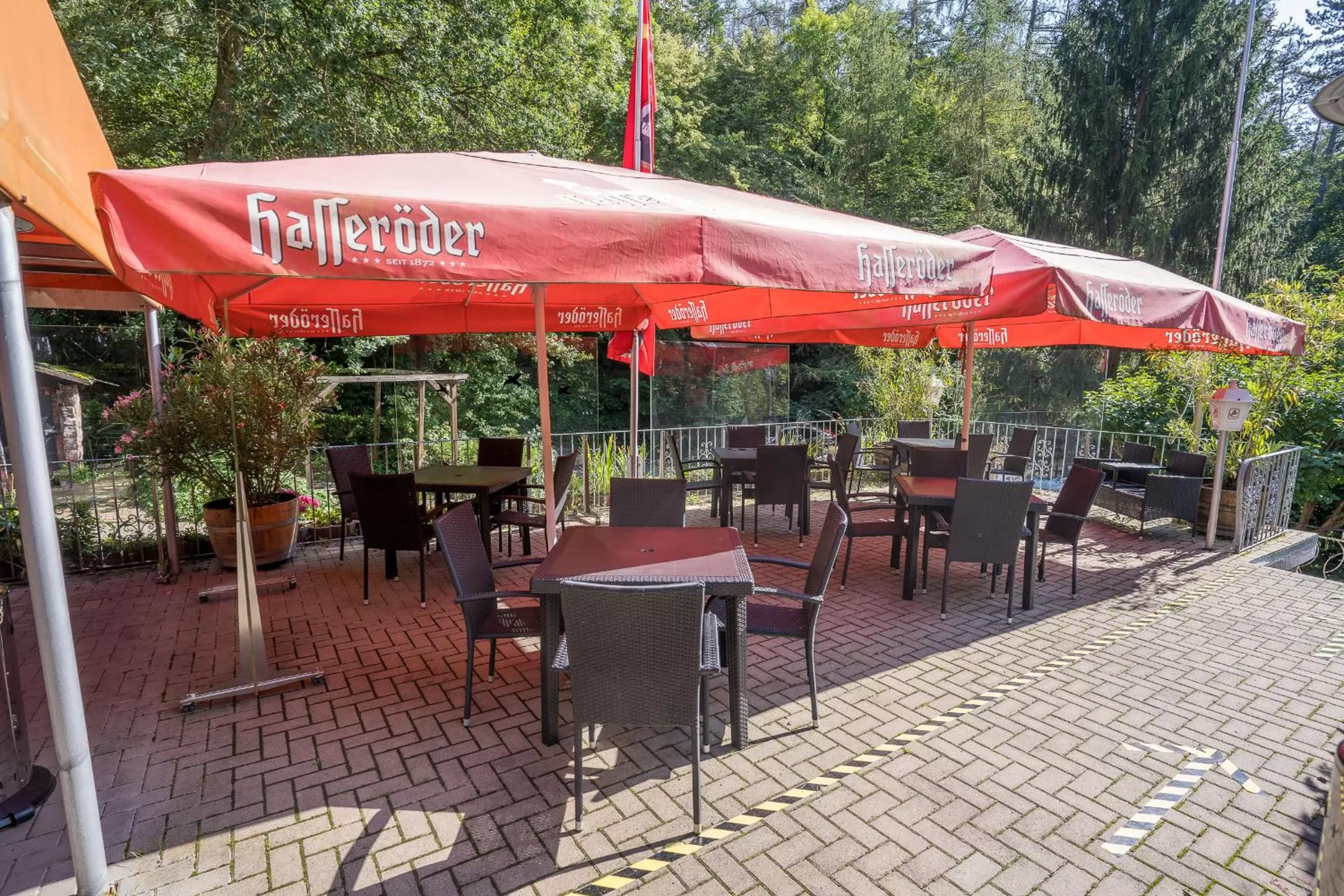 Patio in Waldgaststätte Sennhütte