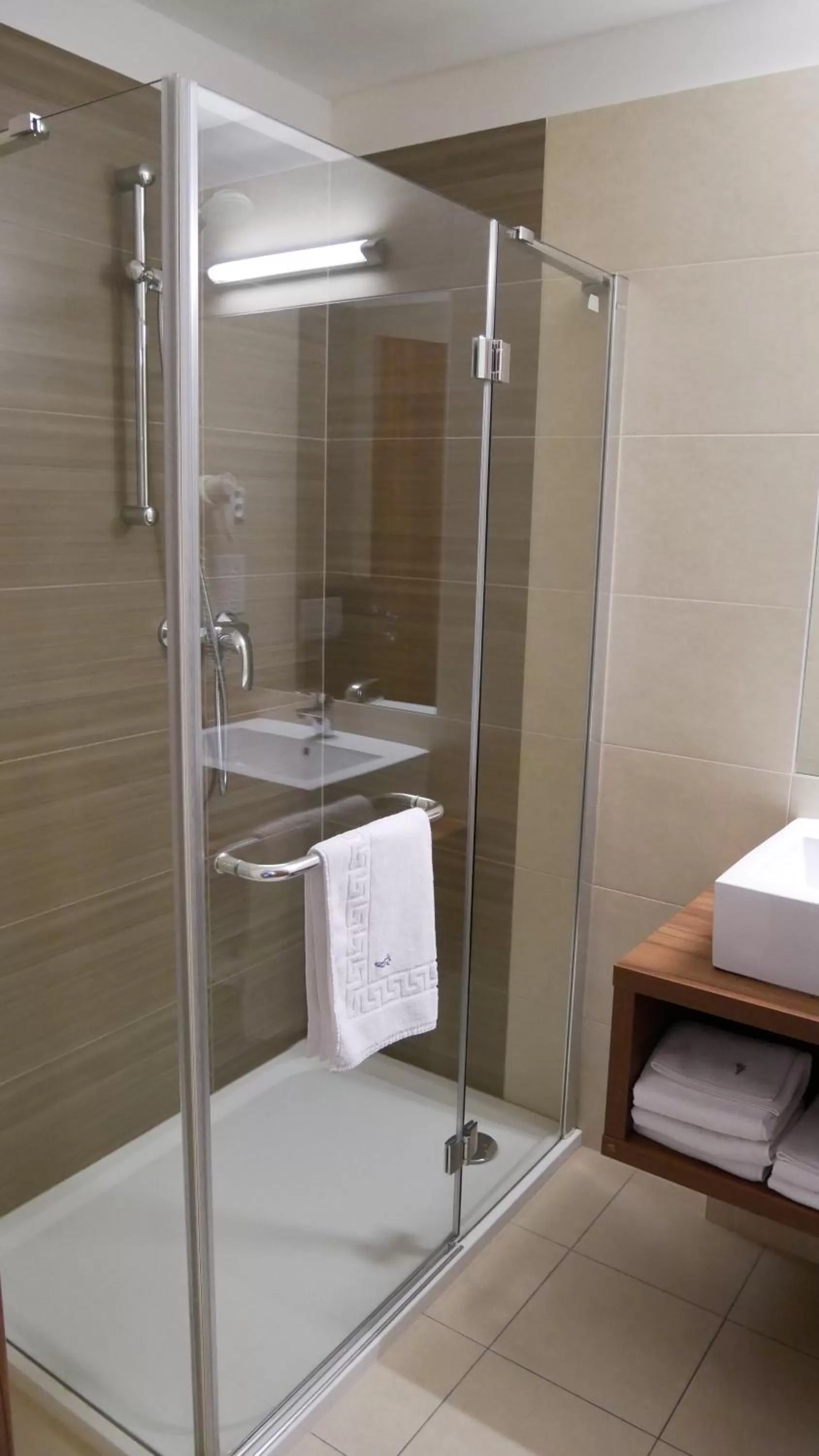 Shower in Hotel Saffron