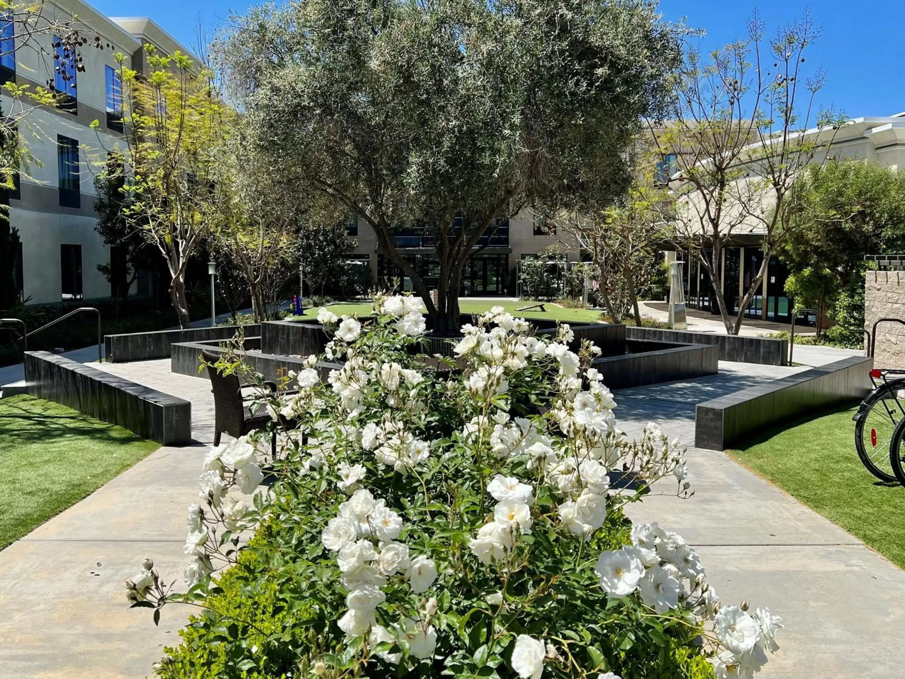 Other, Garden in Staybridge Suites Carlsbad/San Diego, an IHG Hotel