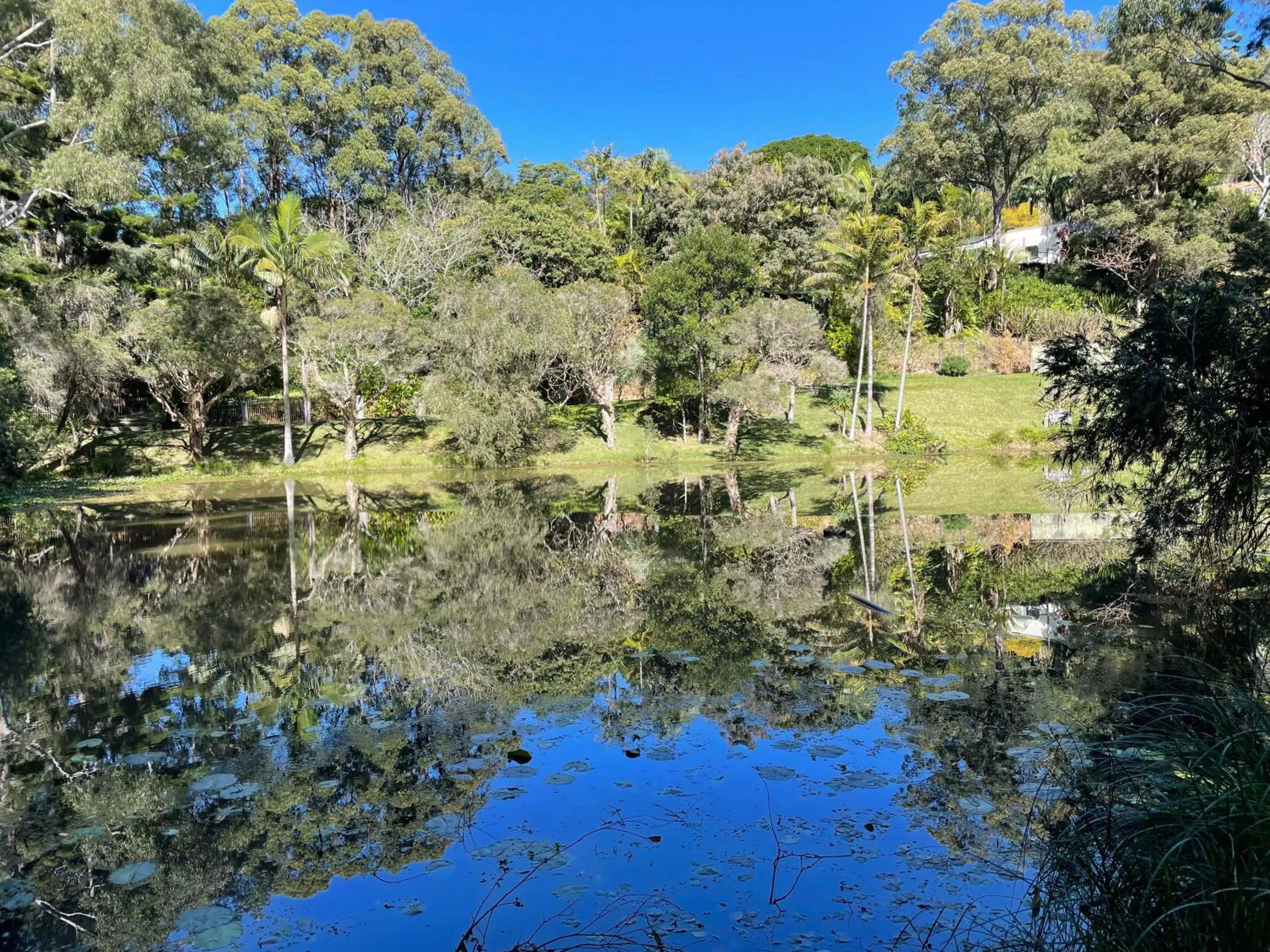 Day in Sensom at Sapphire - Adults only B&B