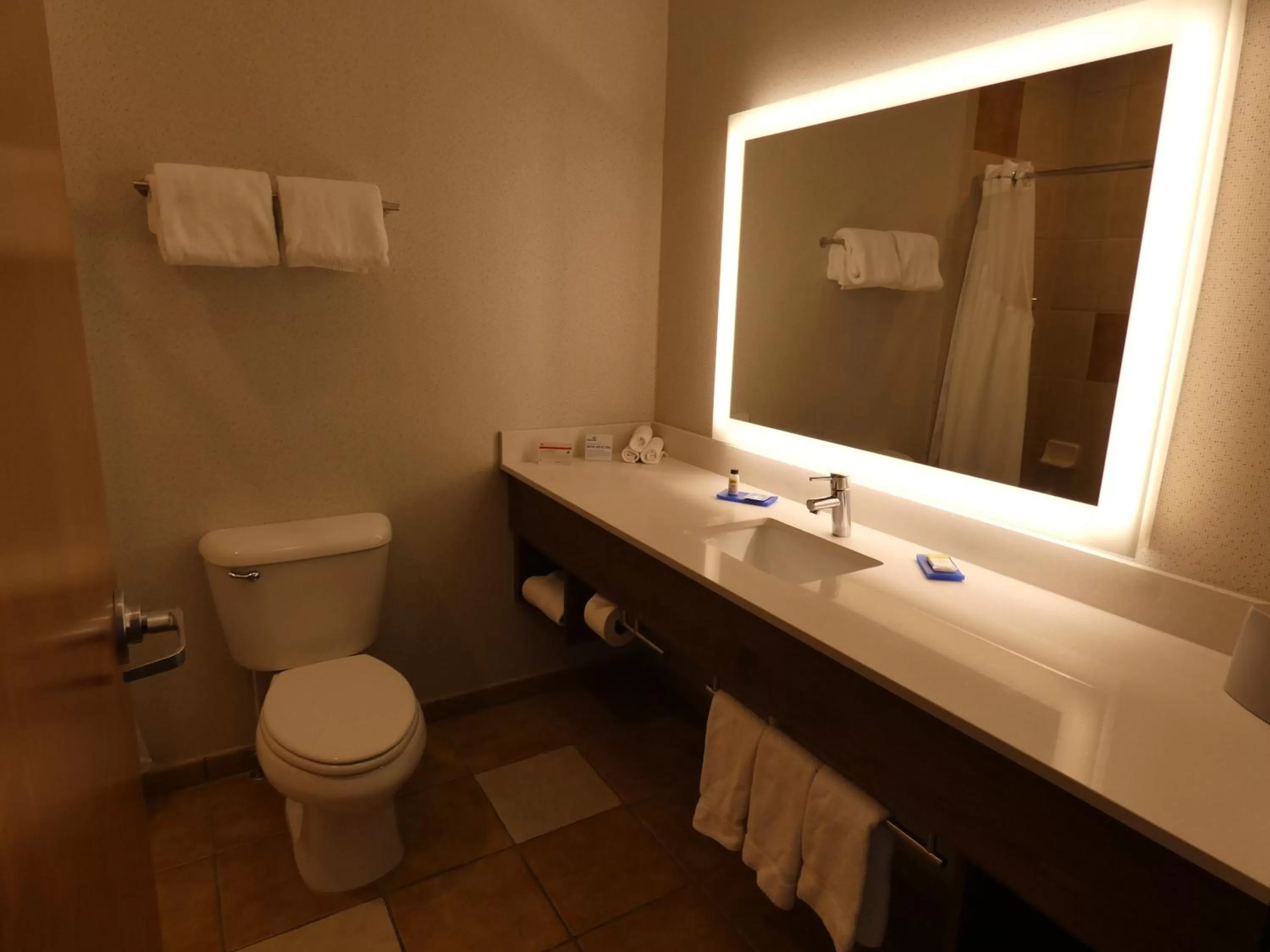 Bathroom in Holiday Inn Express Hotel & Suites Limon I-70/Exit 359 by IHG