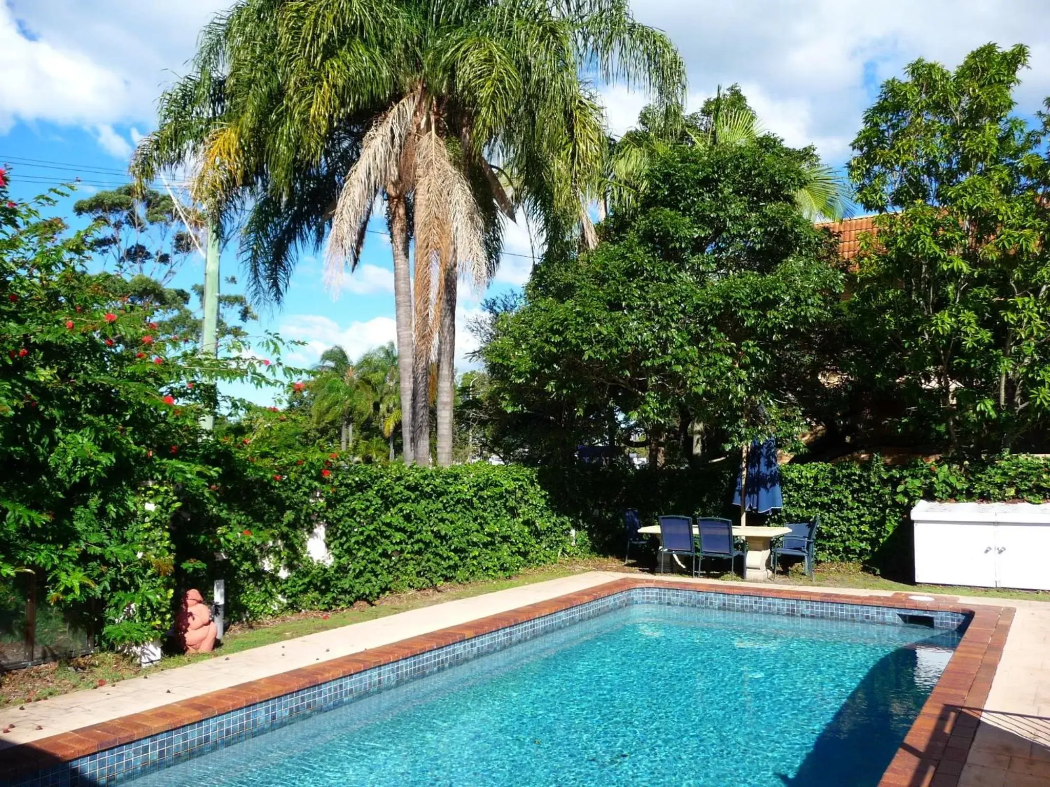 Swimming Pool in Tweed Heads Vegas Motel