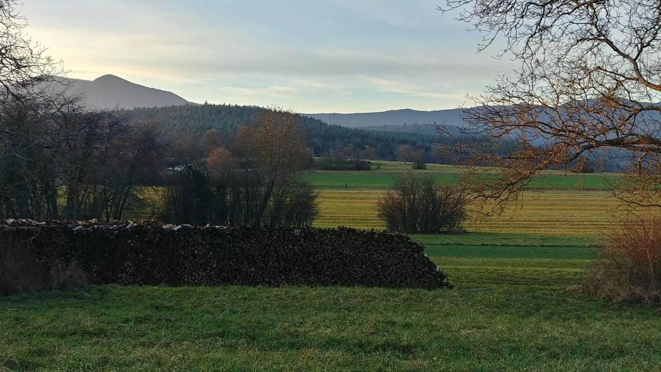 Natural landscape in Au jardin de la Maison des Soeurs