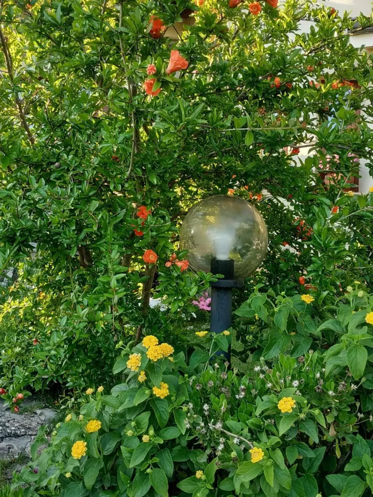 Decorative detail, Garden in B&B Ottoulivi