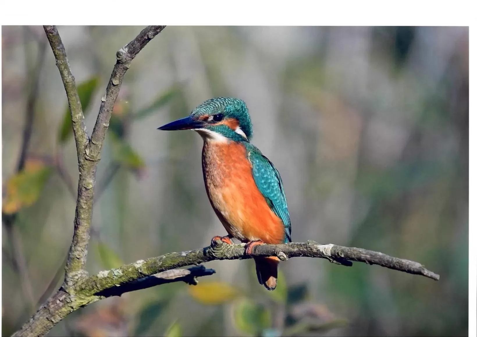 Bird's eye view in Highfields Holidays bed & breakfast