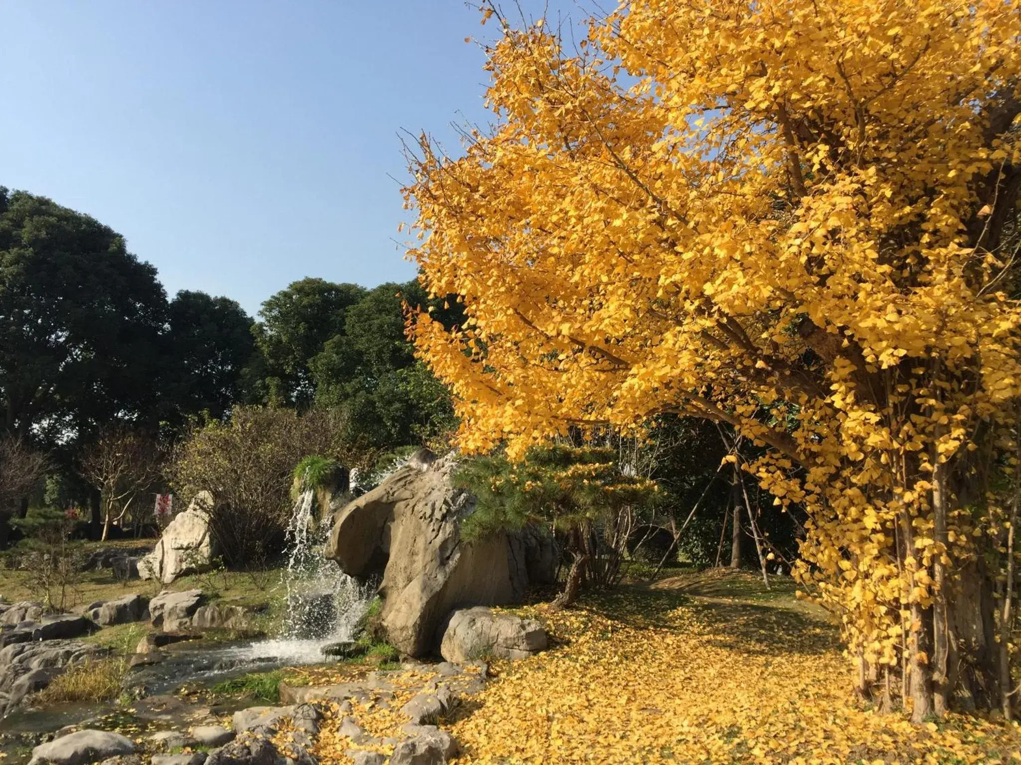 Natural landscape in Tongli Lakeview Hotel