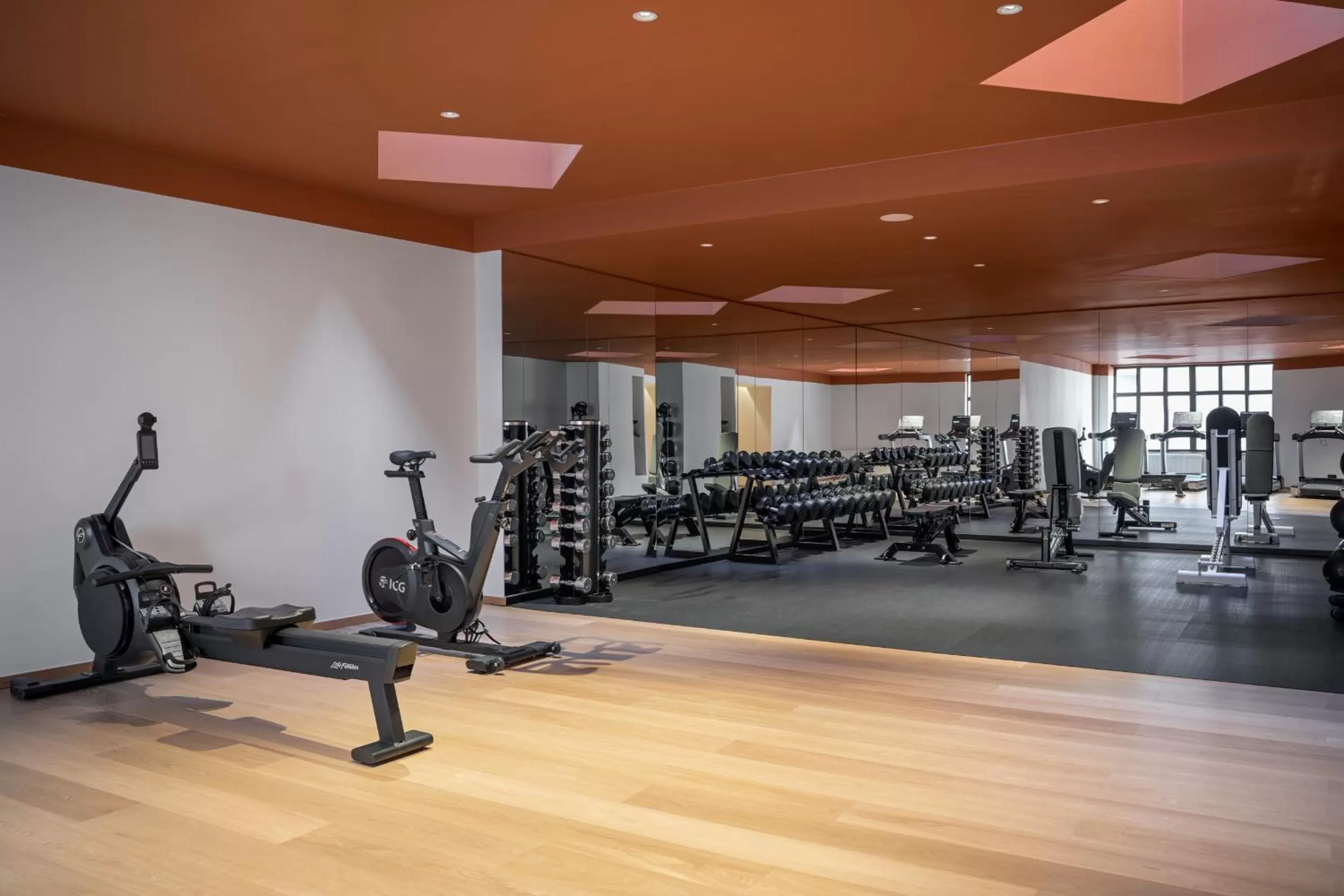 Fitness centre/facilities in Almanac X Alcron Prague