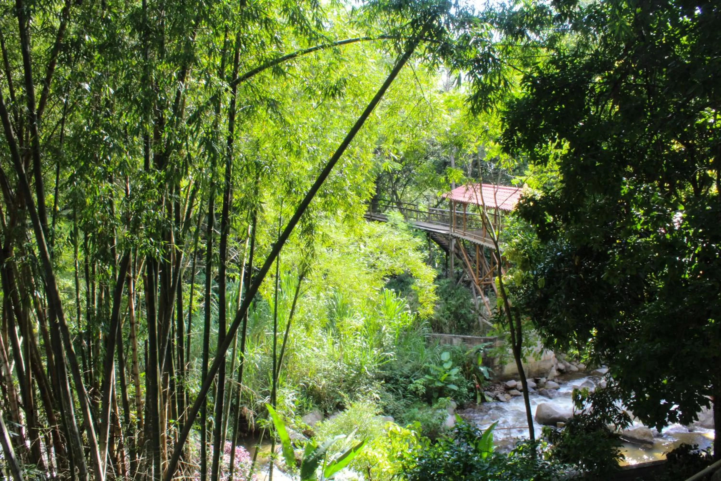Natural landscape in Rio Escondido