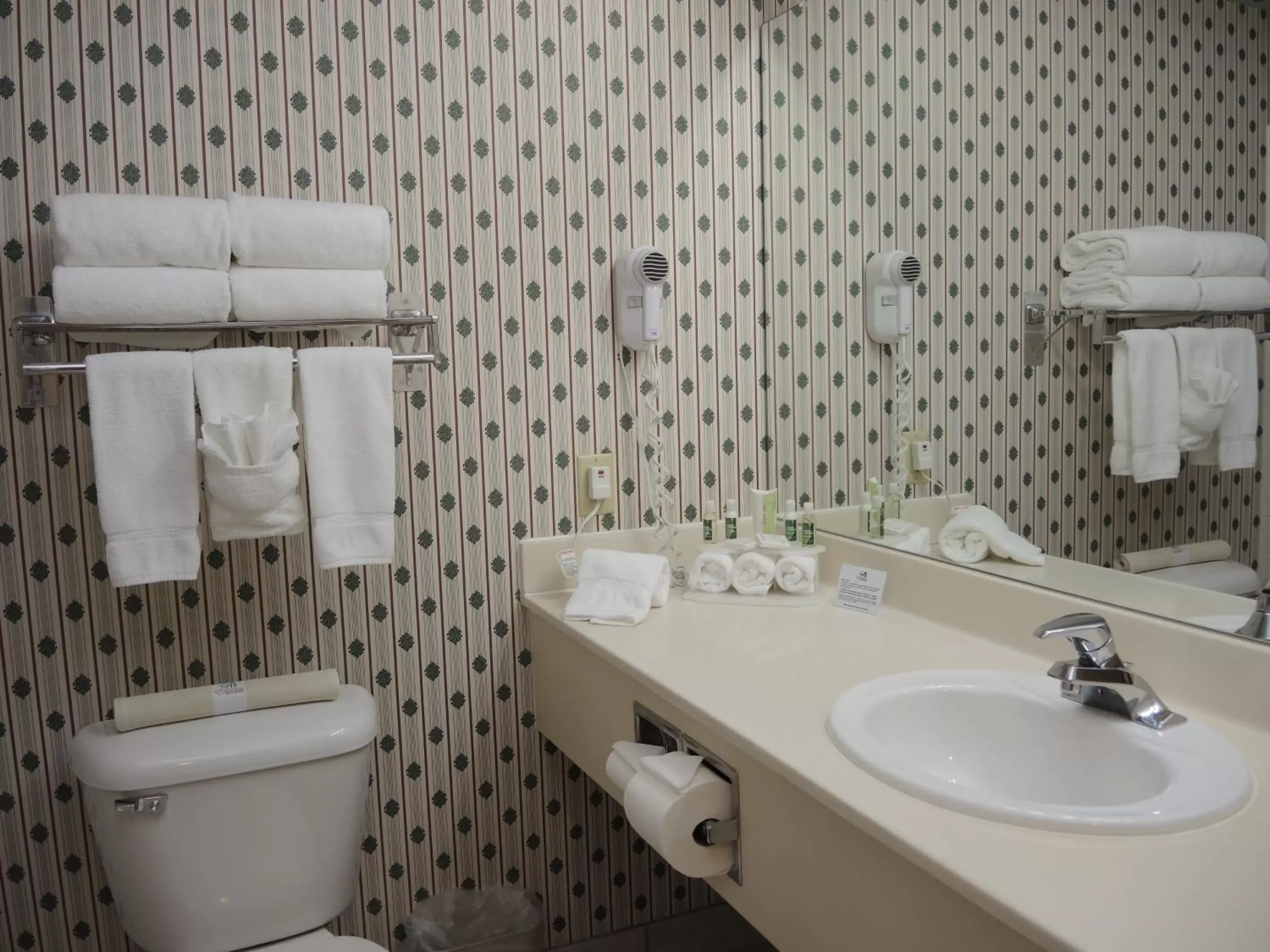 Bathroom in Evergreen Inn & Suites