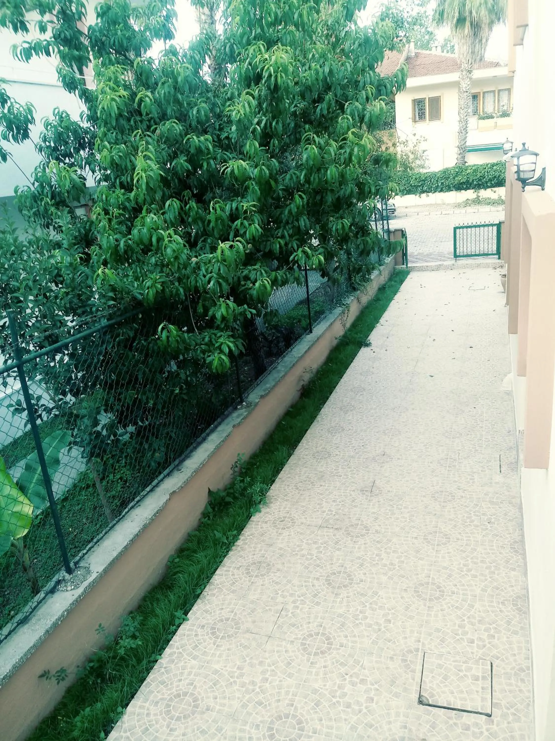 Garden in Valeri Beach Hotel