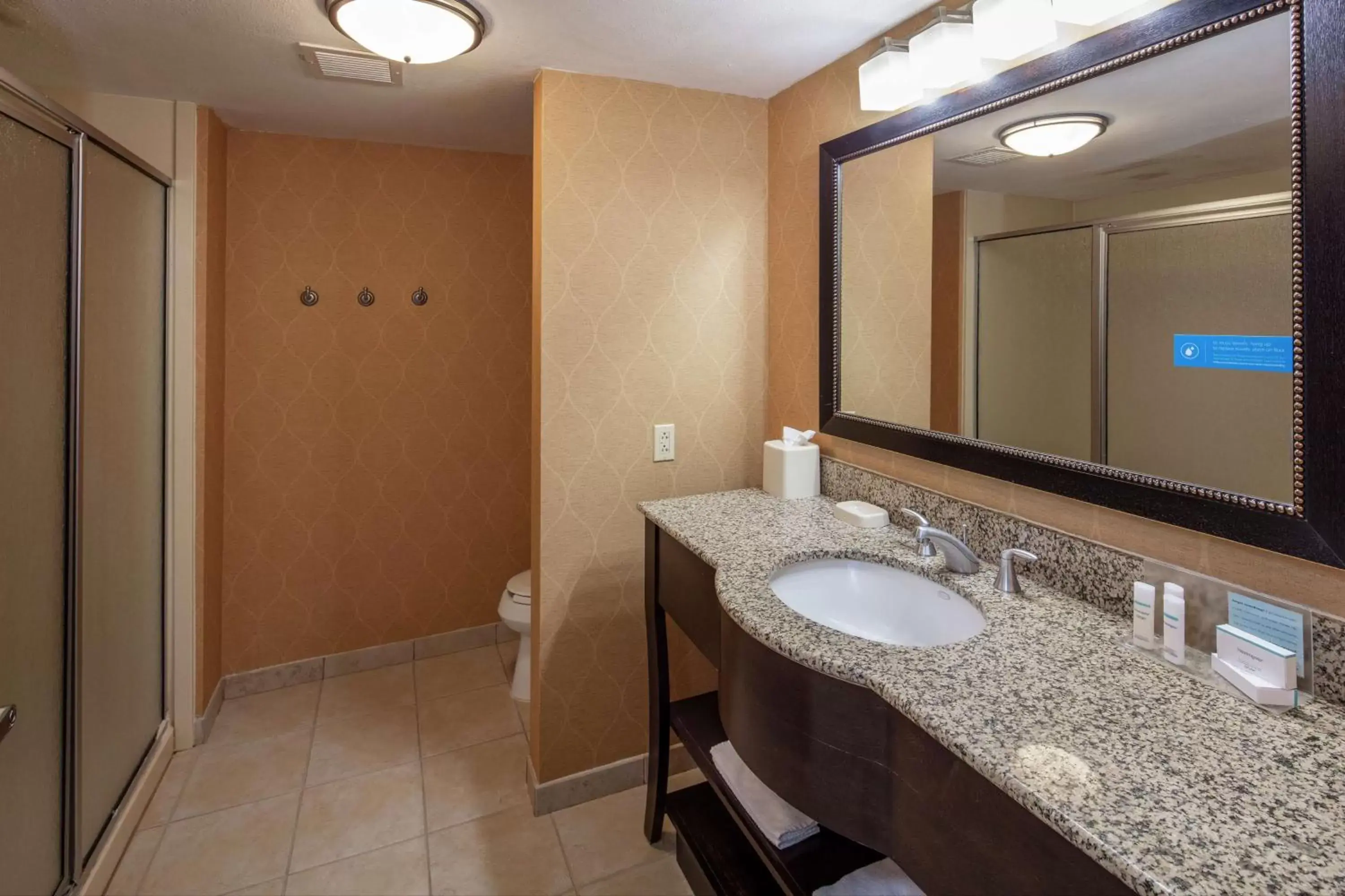 Bathroom in Hampton Inn & Suites Austin Cedar Park-Lakeline
