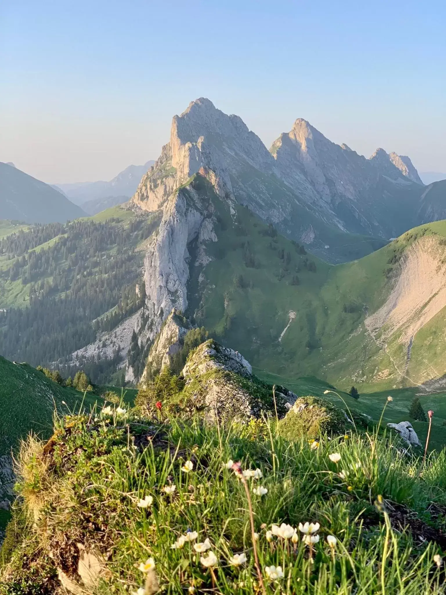 Natural Landscape in Hotel de Commune