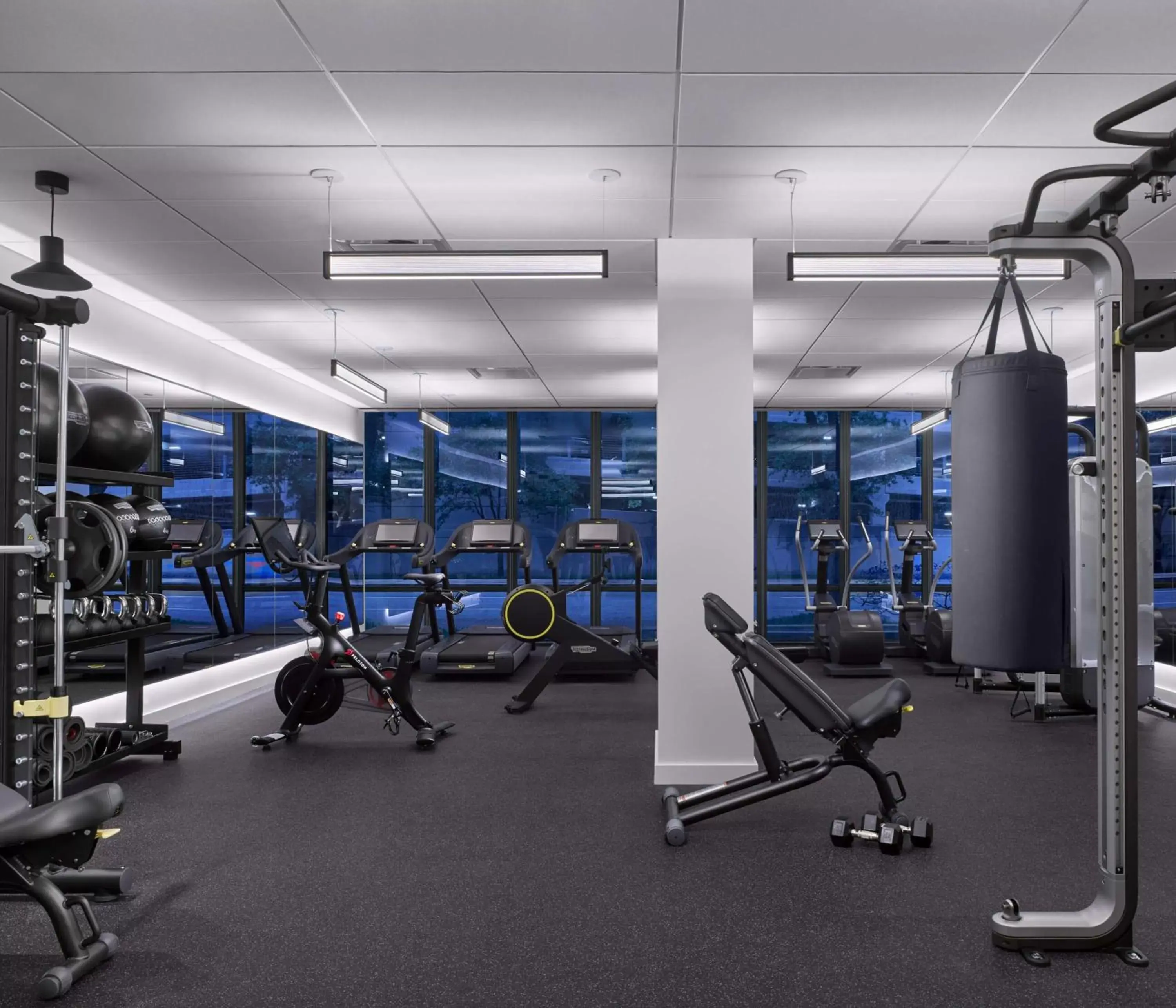 Fitness centre/facilities, Fitness Center/Facilities in C. Baldwin, Curio Collection by Hilton