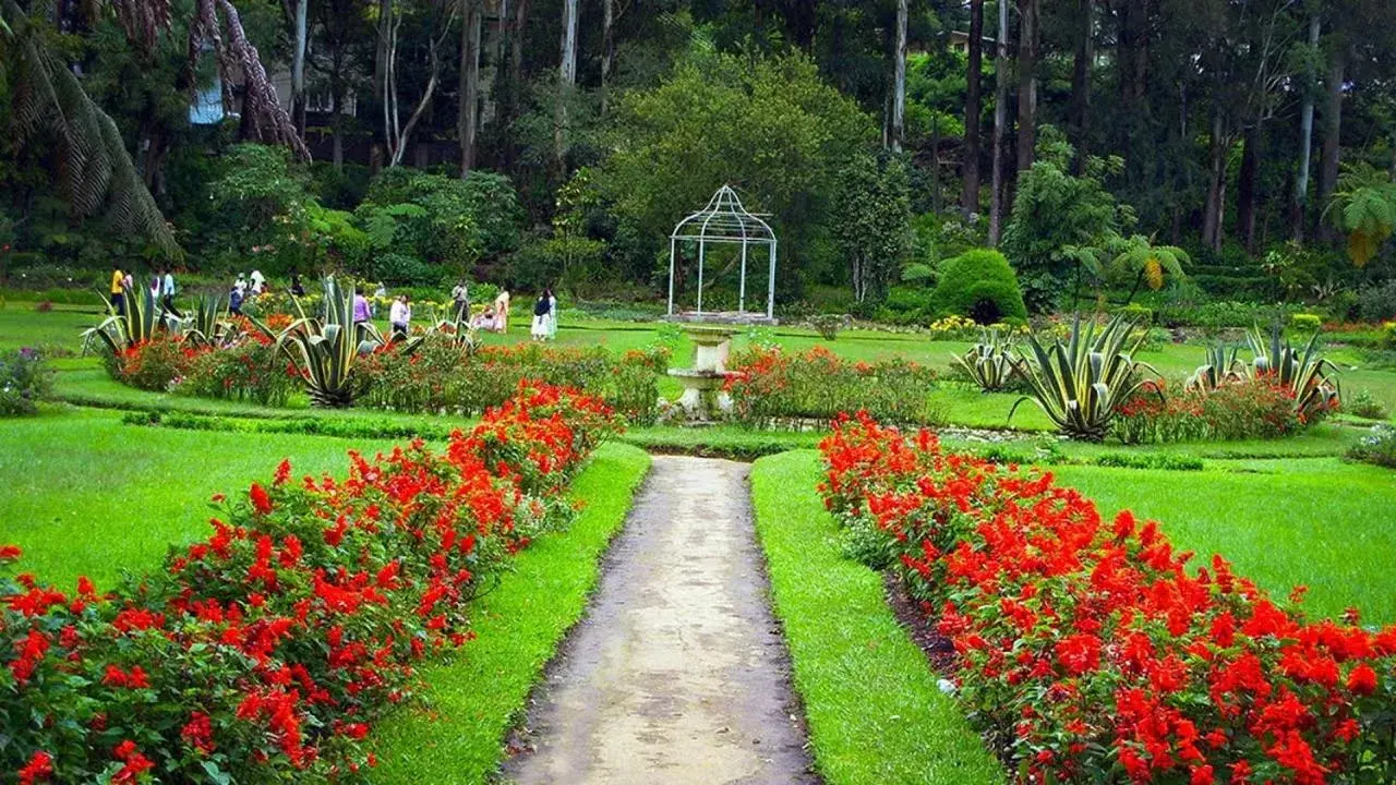 Activities, Garden in Panorama Green View Hotel Nuwara Eliya