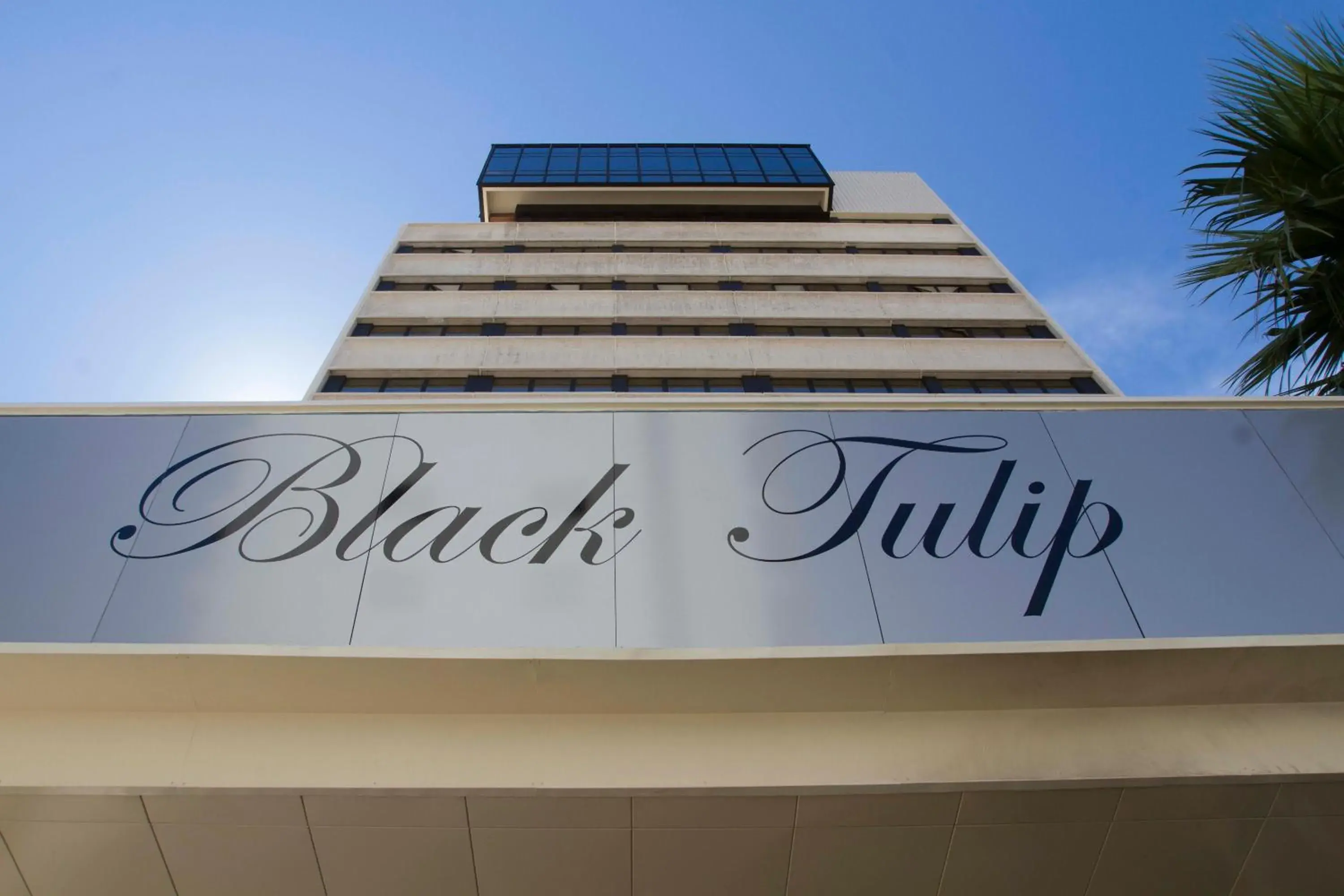 Facade/entrance, Property Logo/Sign in Hotel Black Tulip - Porto Gaia