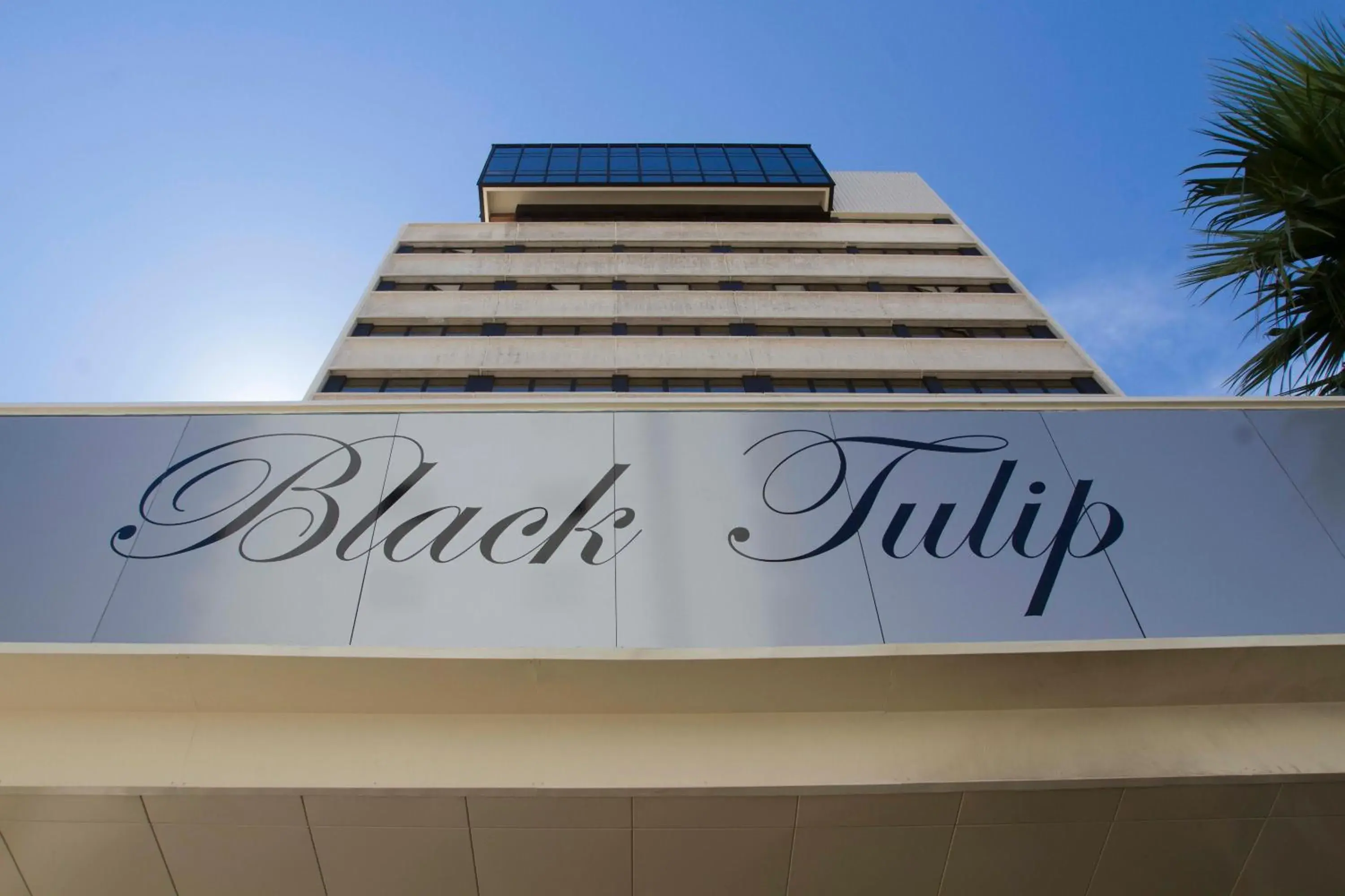 Facade/entrance in Hotel Black Tulip - Porto Gaia Facade/entrance in Hotel Black Tulip - Porto Gaia