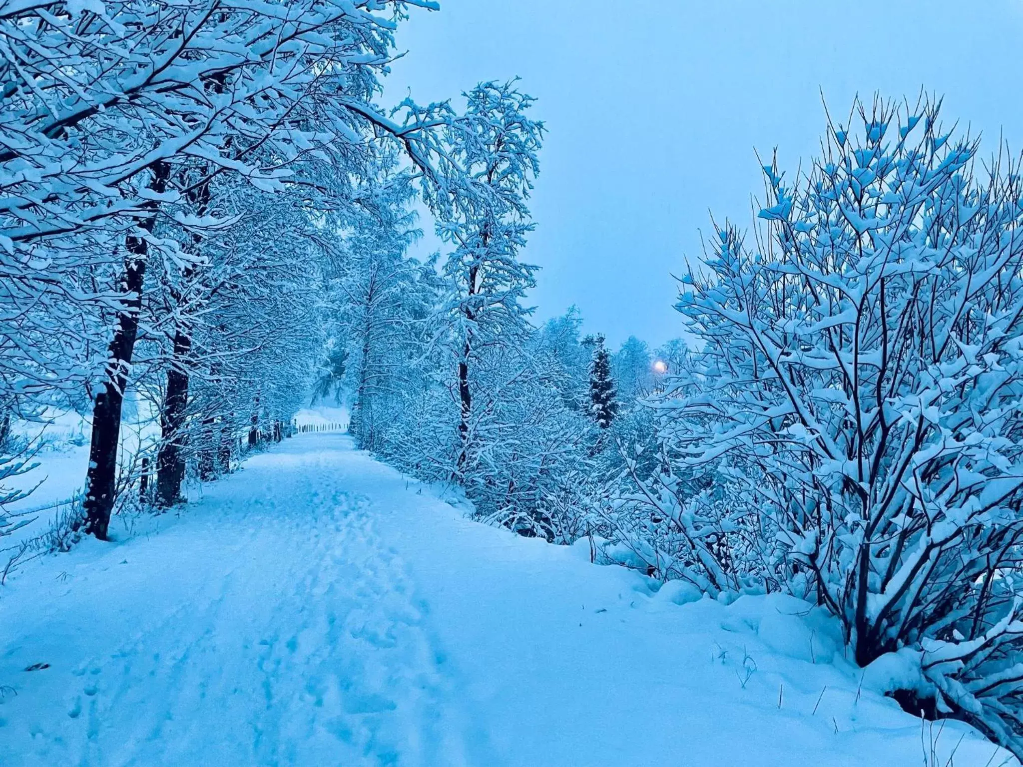 Winter in Hotel HAAS