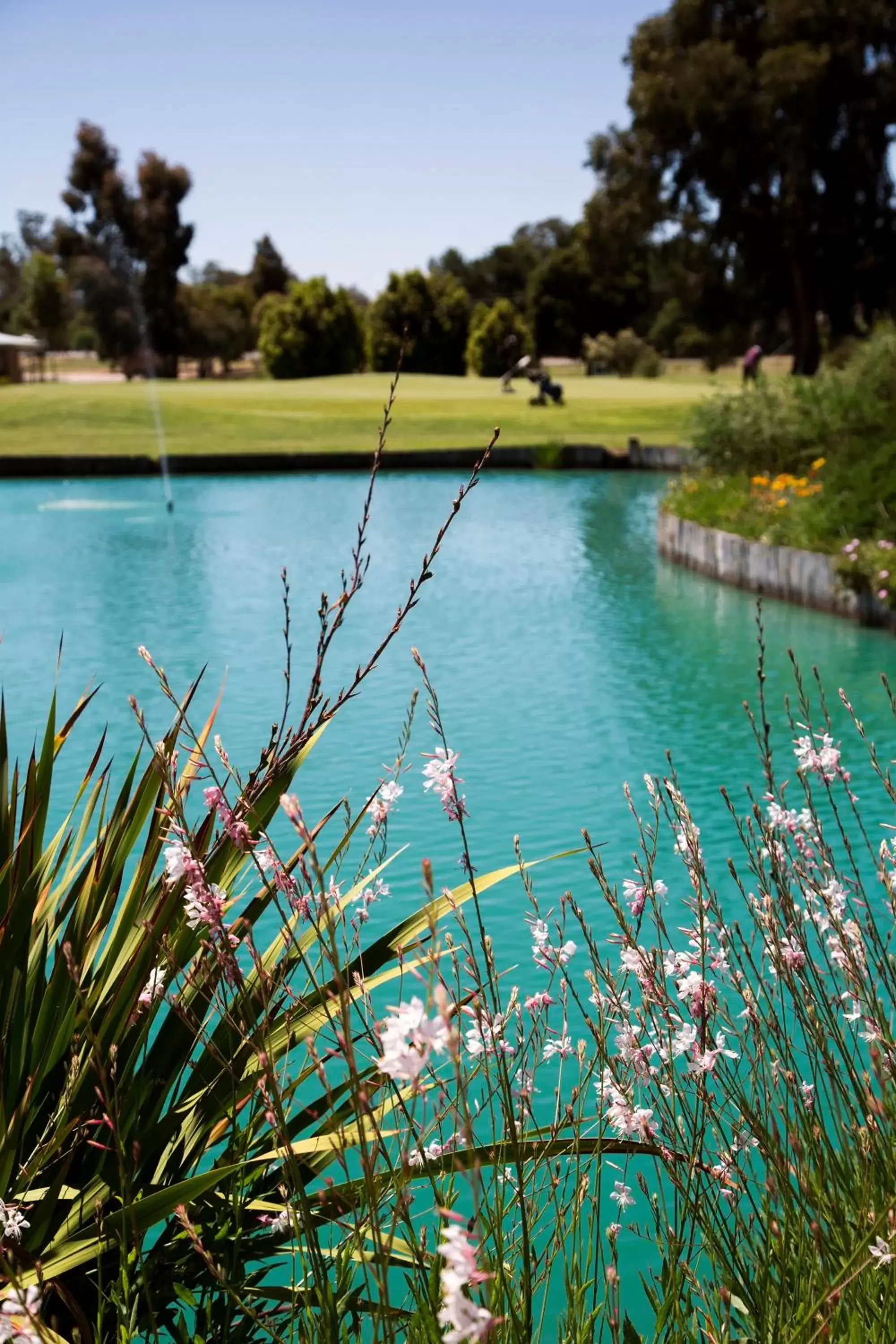 Natural landscape in Howlong Golf Resort