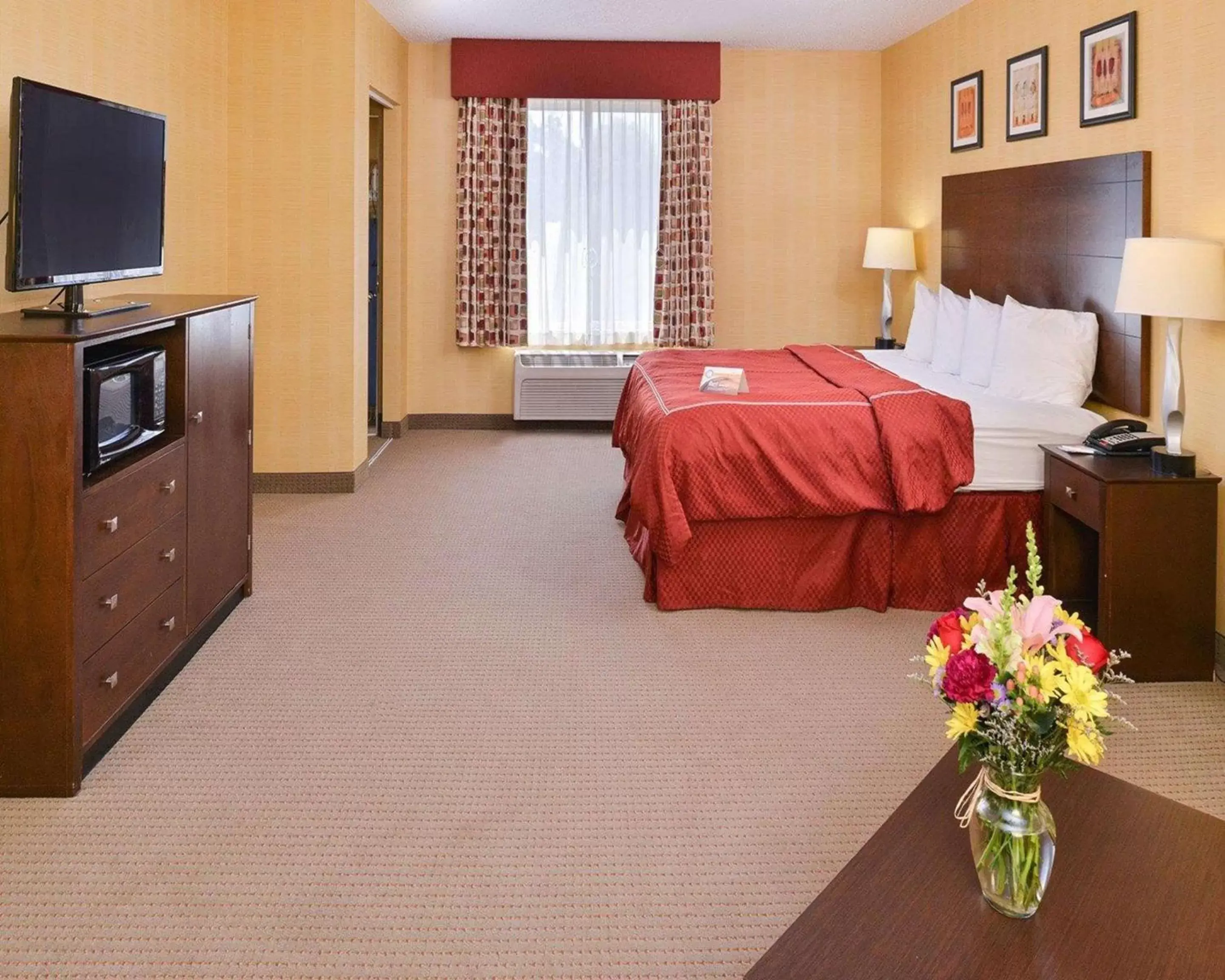 Bedroom, TV/Entertainment Center in Quality Suites Stratford