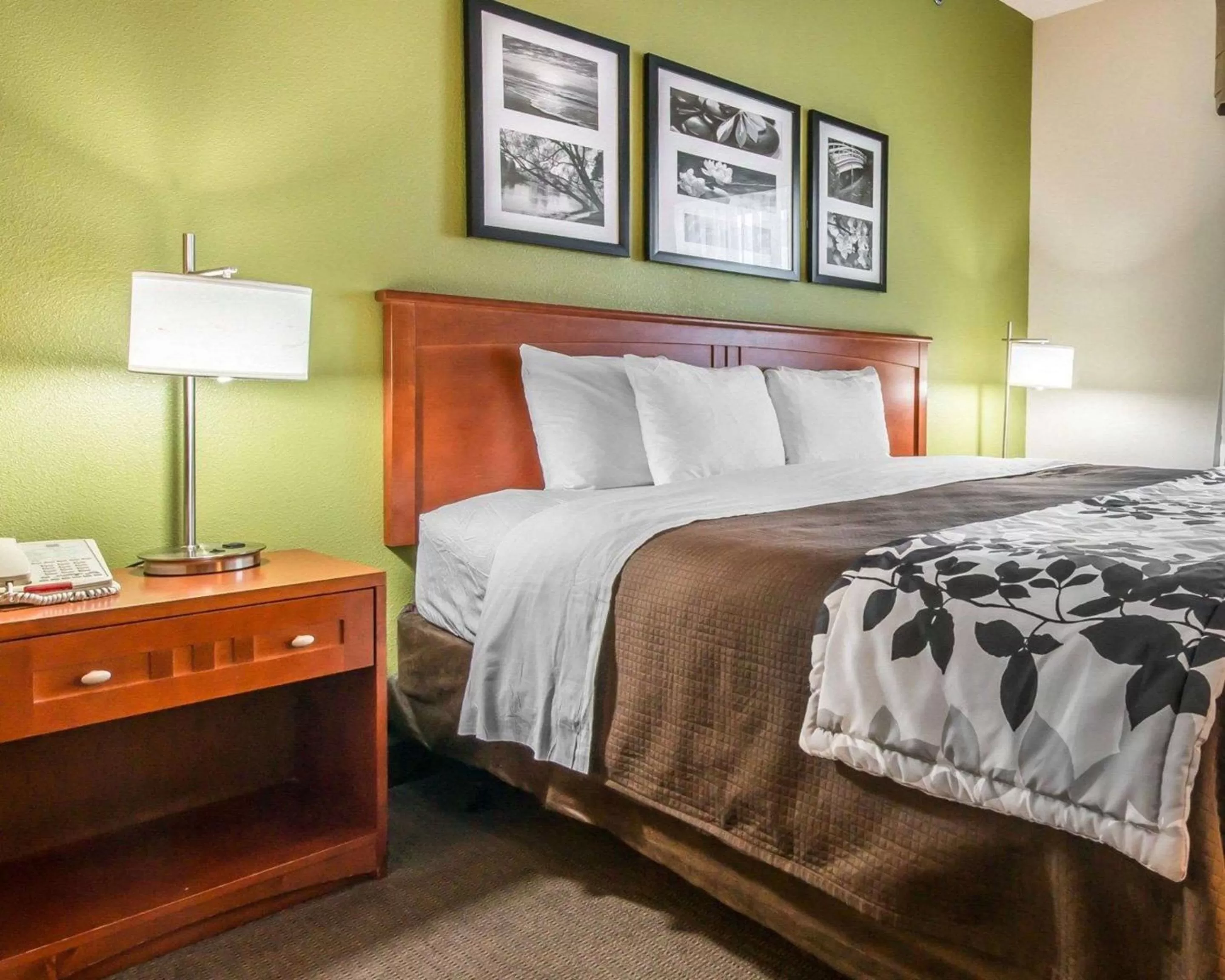 Photo of the whole room, Bed in Sleep Inn & Suites Winchester near University