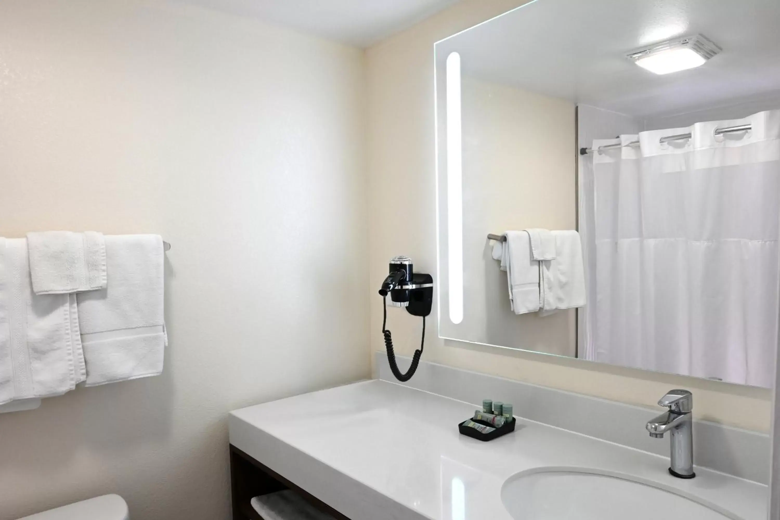 Bathroom in Golden Host Resort Sarasota