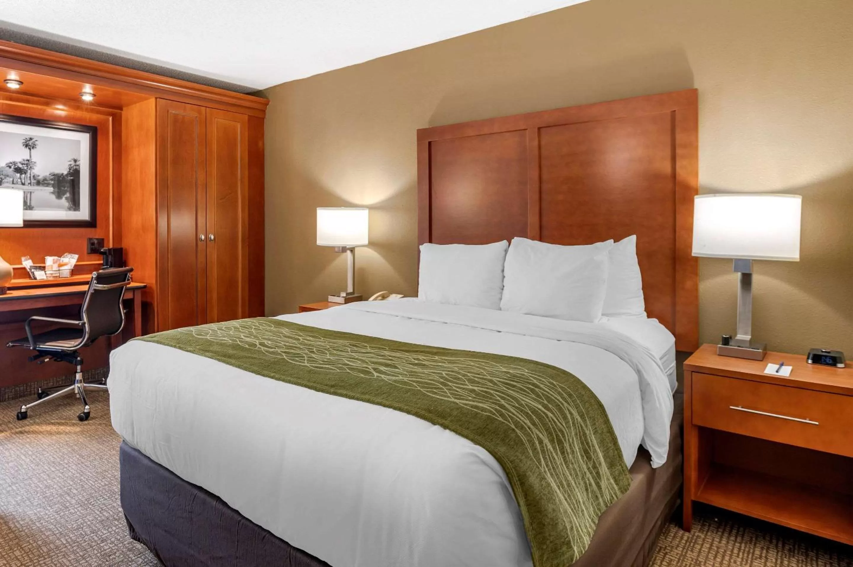 Photo of the whole room, Bed in Comfort Inn Oxford - University Area