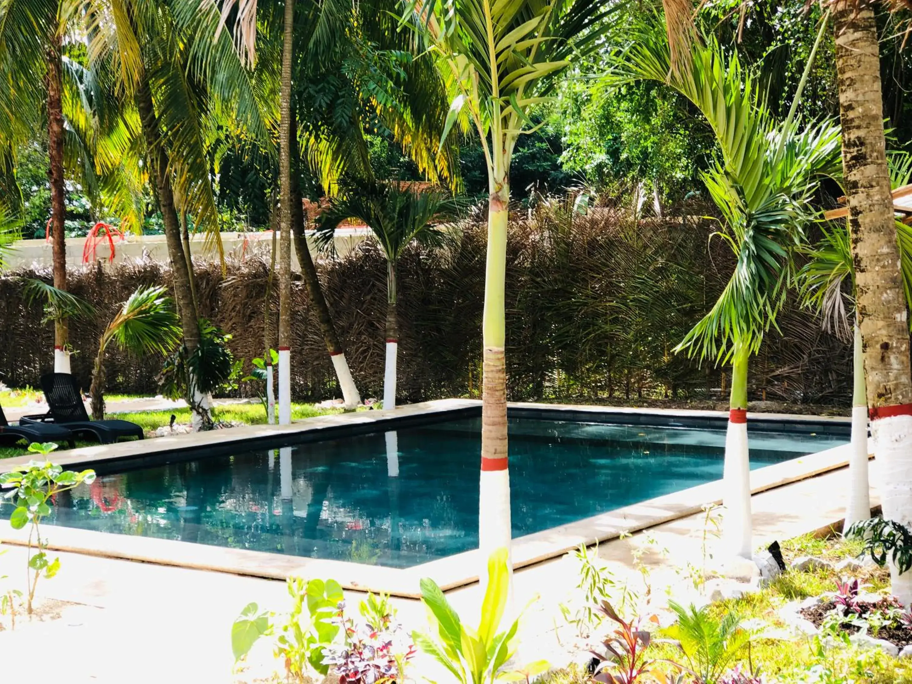 Swimming Pool in Tierra maya Hotel & Sanctuary