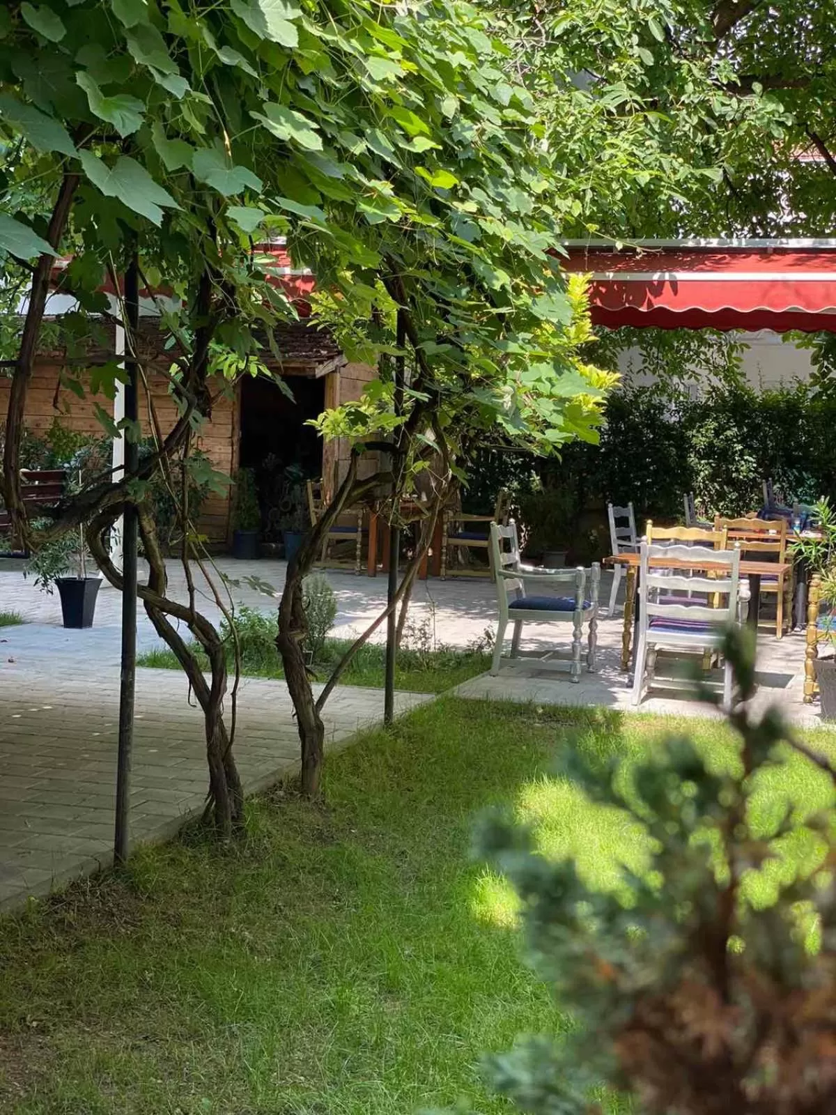 Garden in Grand Boutique Hotel