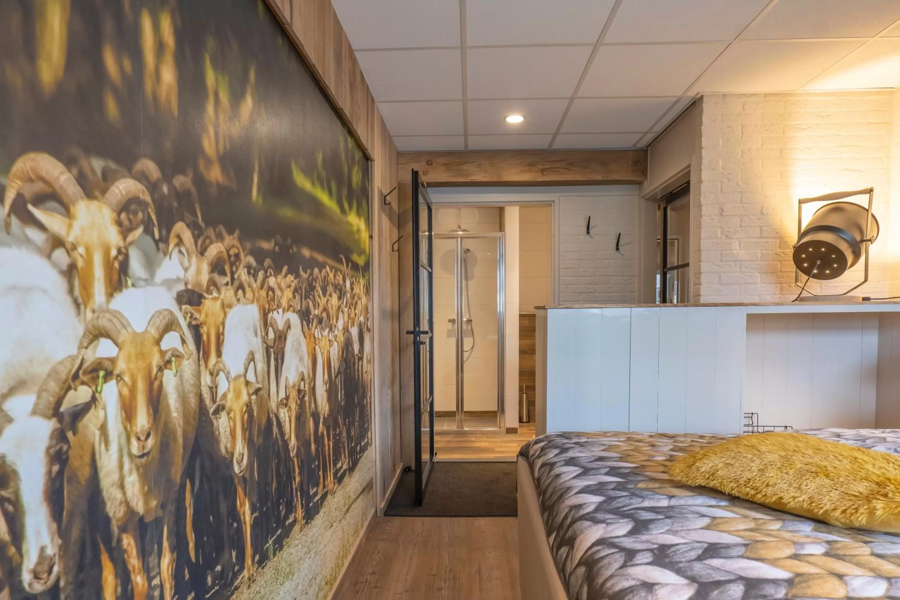 Shower in B&B de Ster van Dwingeloo