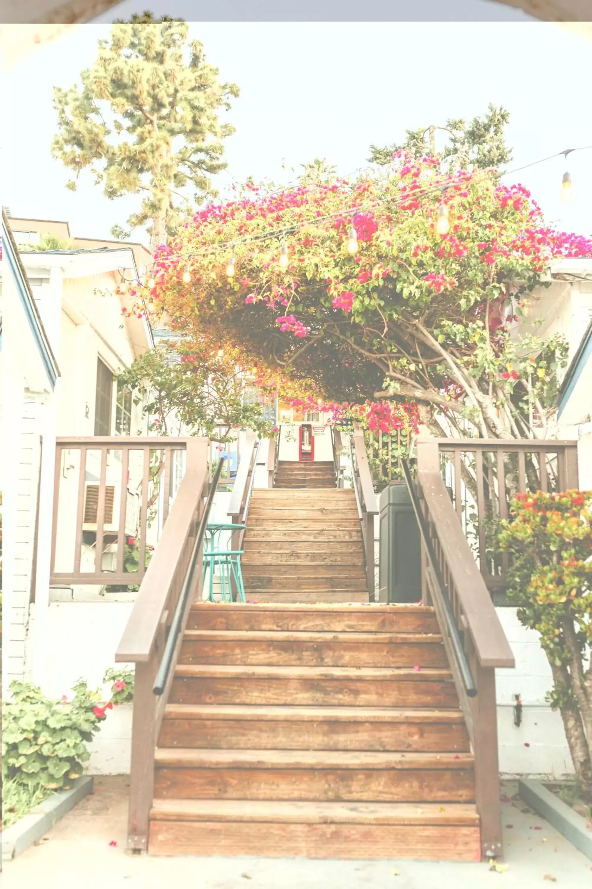 Facade/entrance in Hermosa Hotel