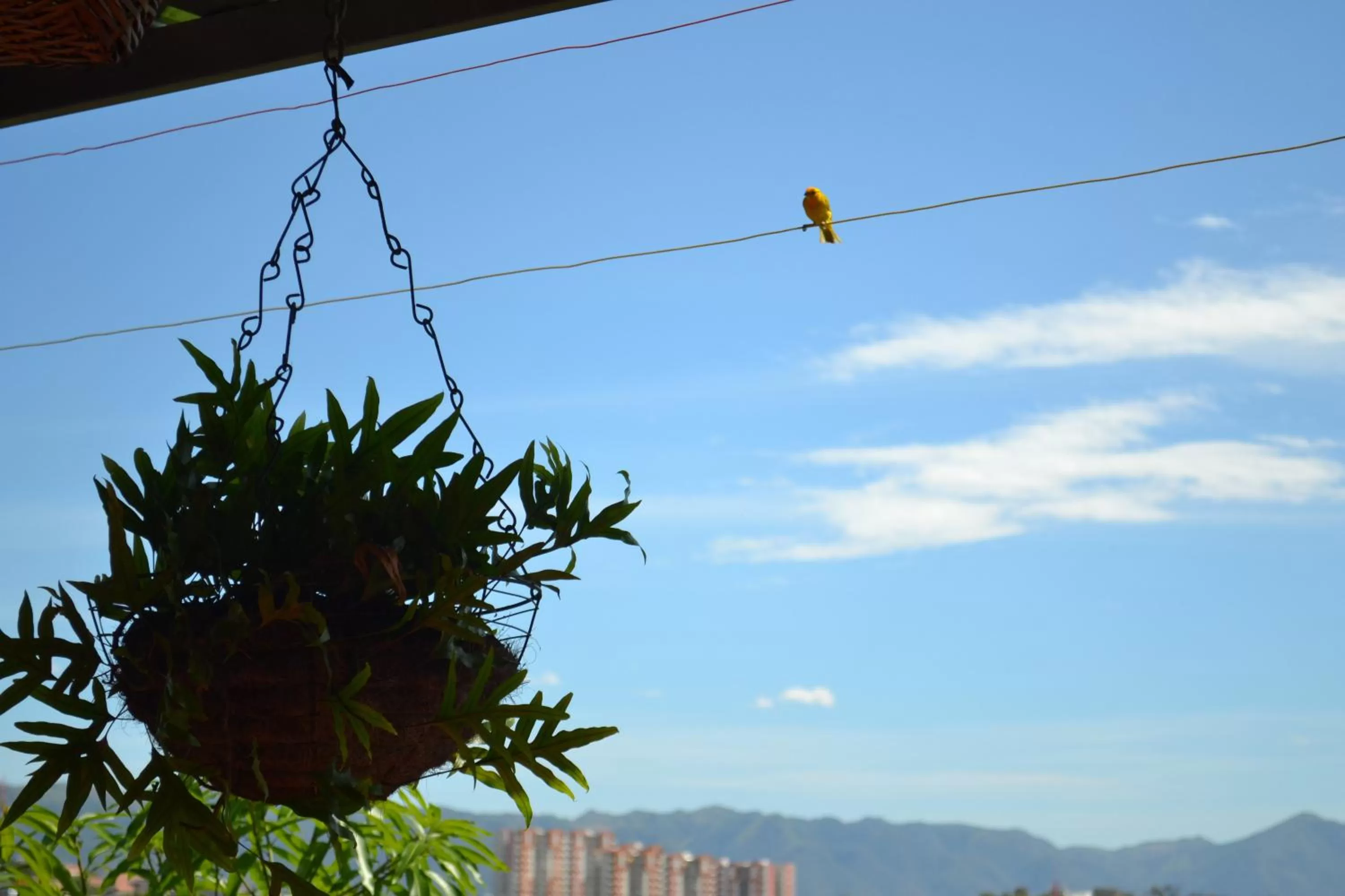 Mountain view in Mirador de San Jorge