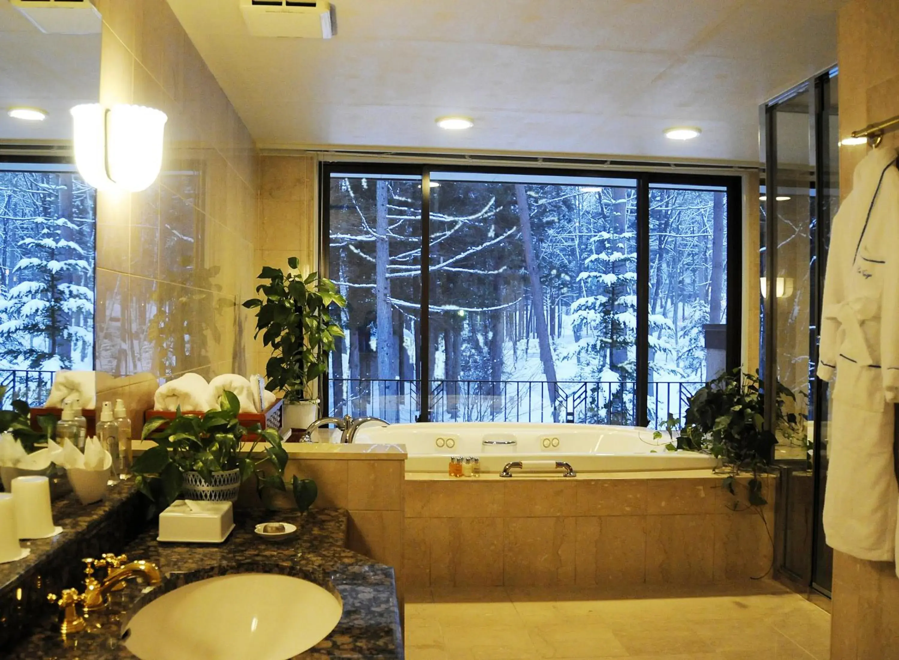 Bathroom in Hakuba Resort Hotel La Neige Higashikan