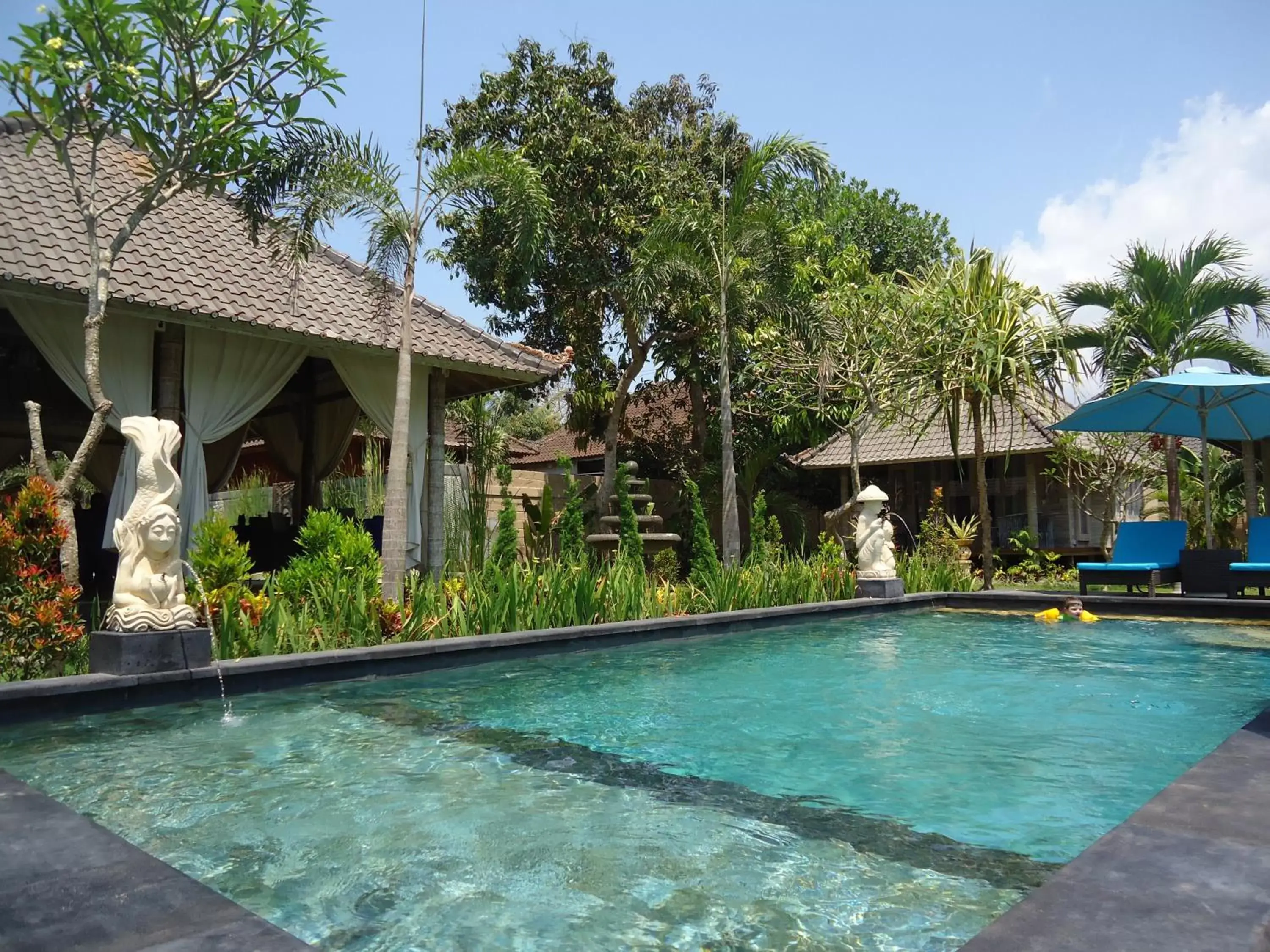 Day, Swimming Pool in The Palm Grove Villas