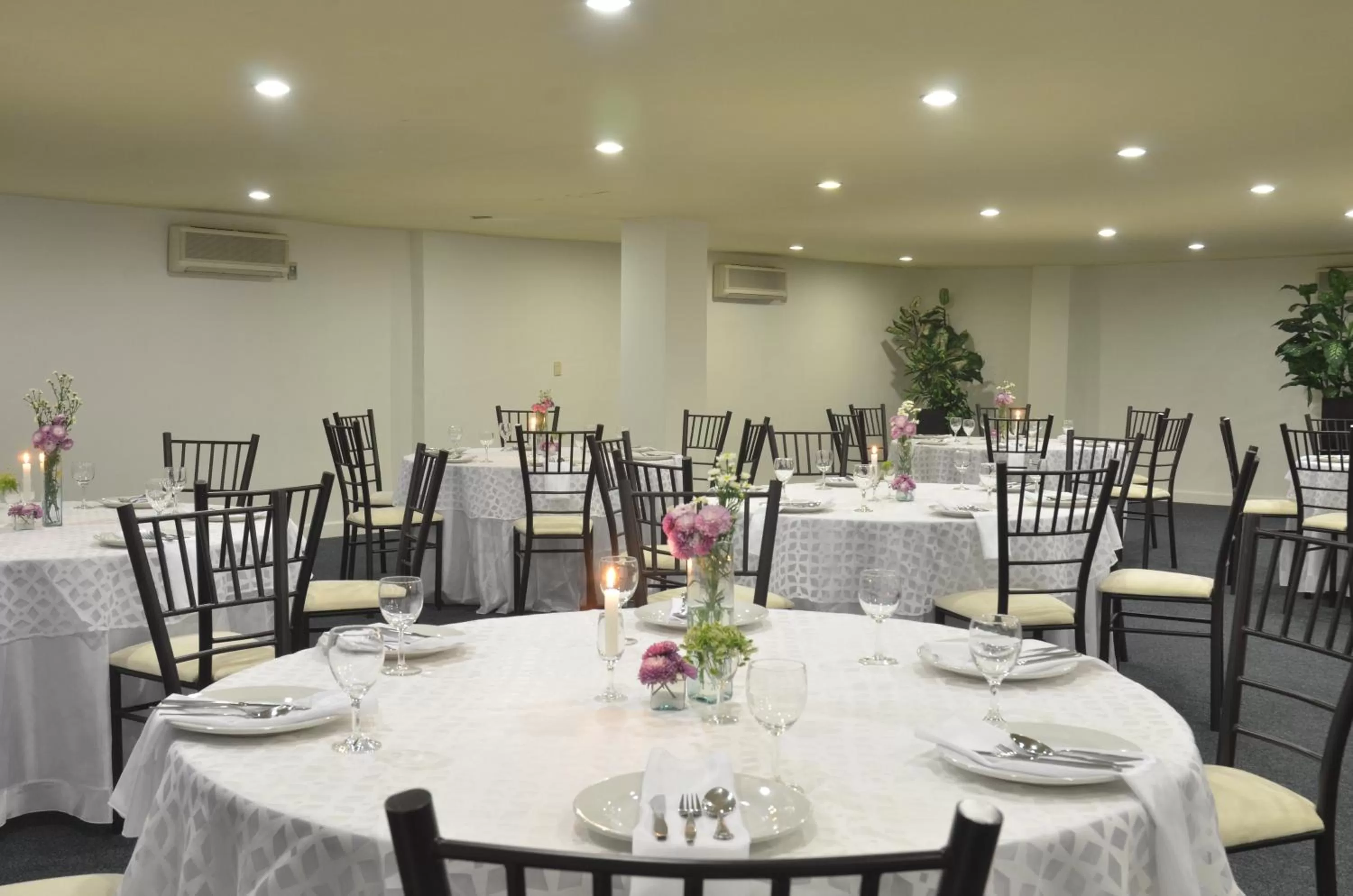 Restaurant/places to eat in Mision Monterrey Centro Historico