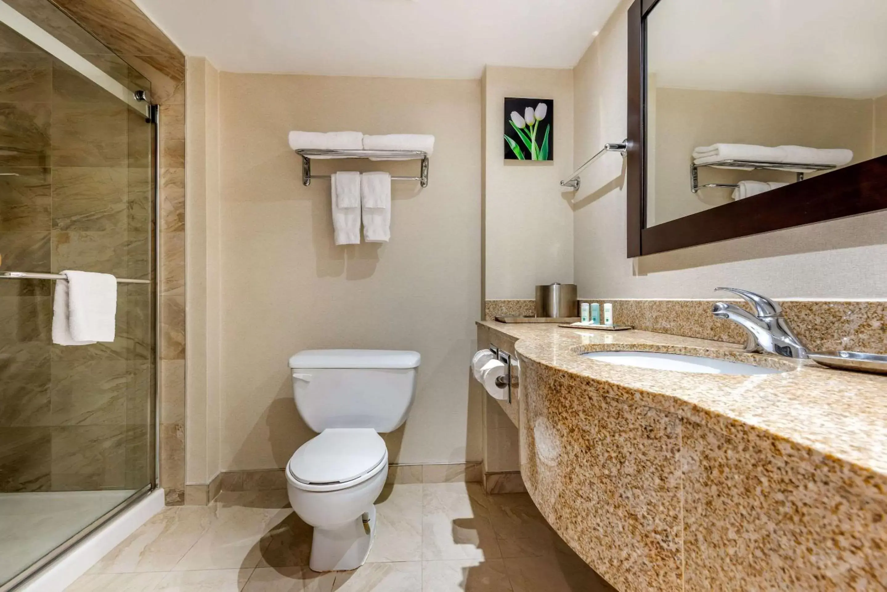 Photo of the whole room in Quality Inn & Suites Photo of the whole room in Quality Inn & Suites