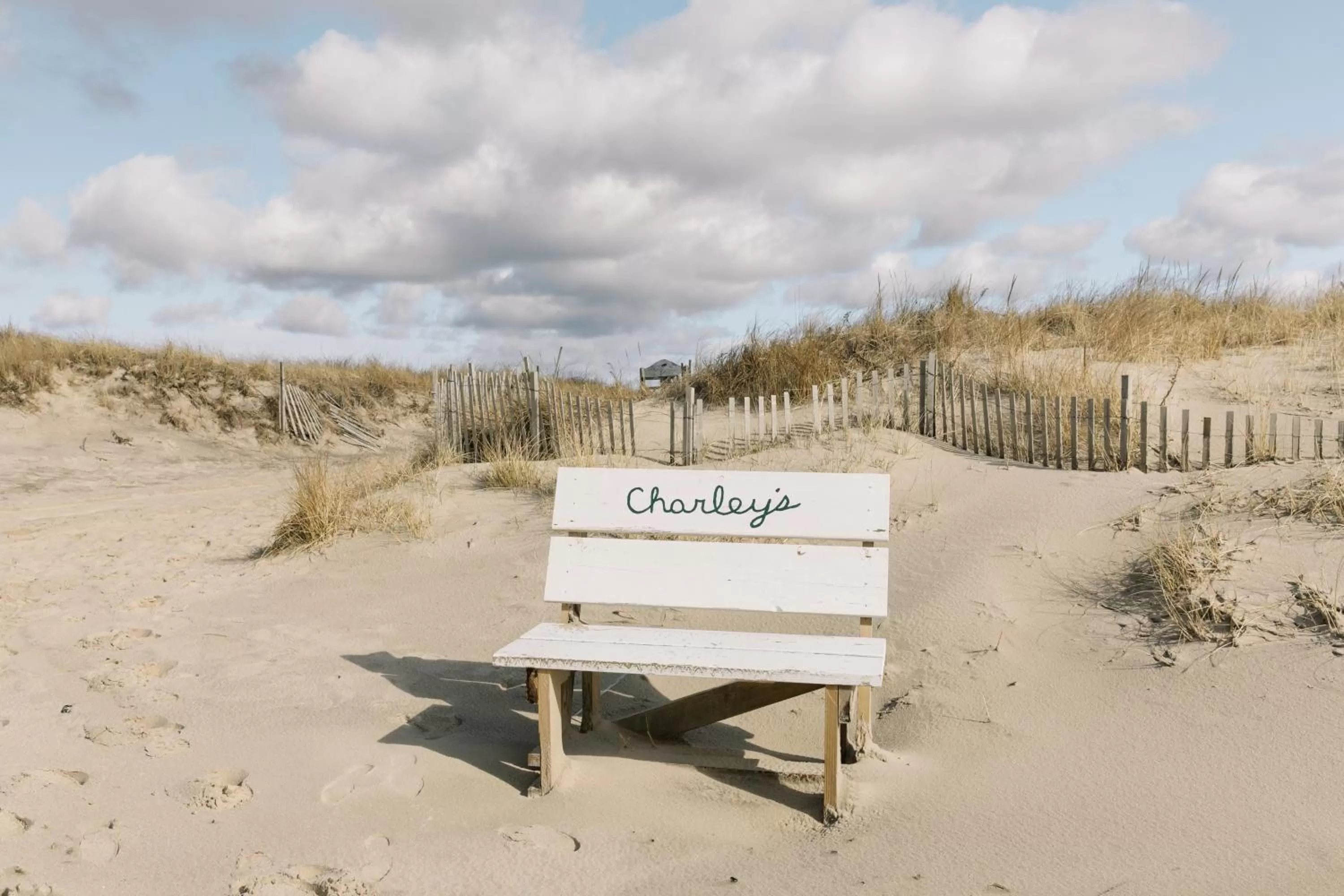 Beach in The Roundtree, Amagansett