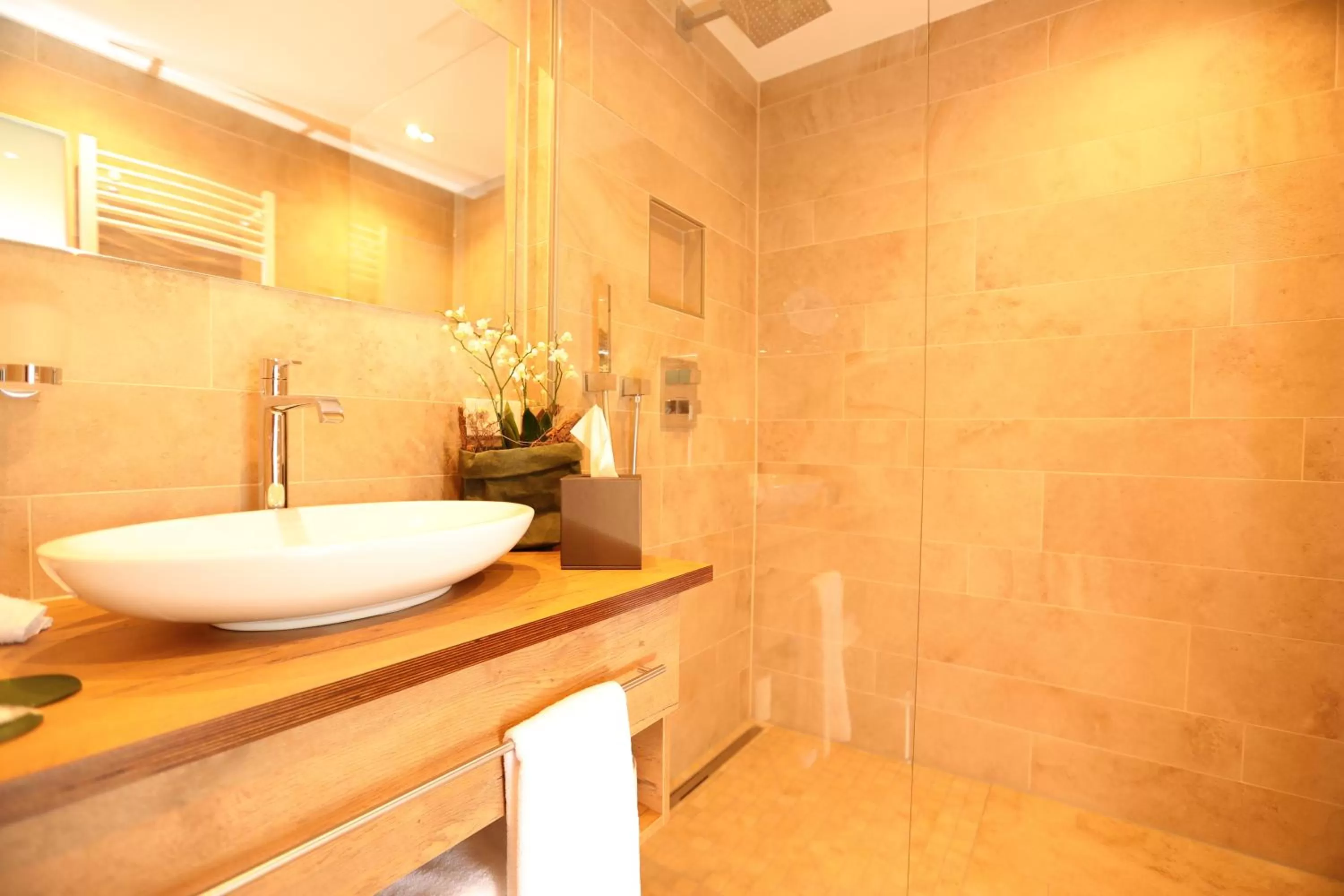 Shower in PETERS Hotel & Spa