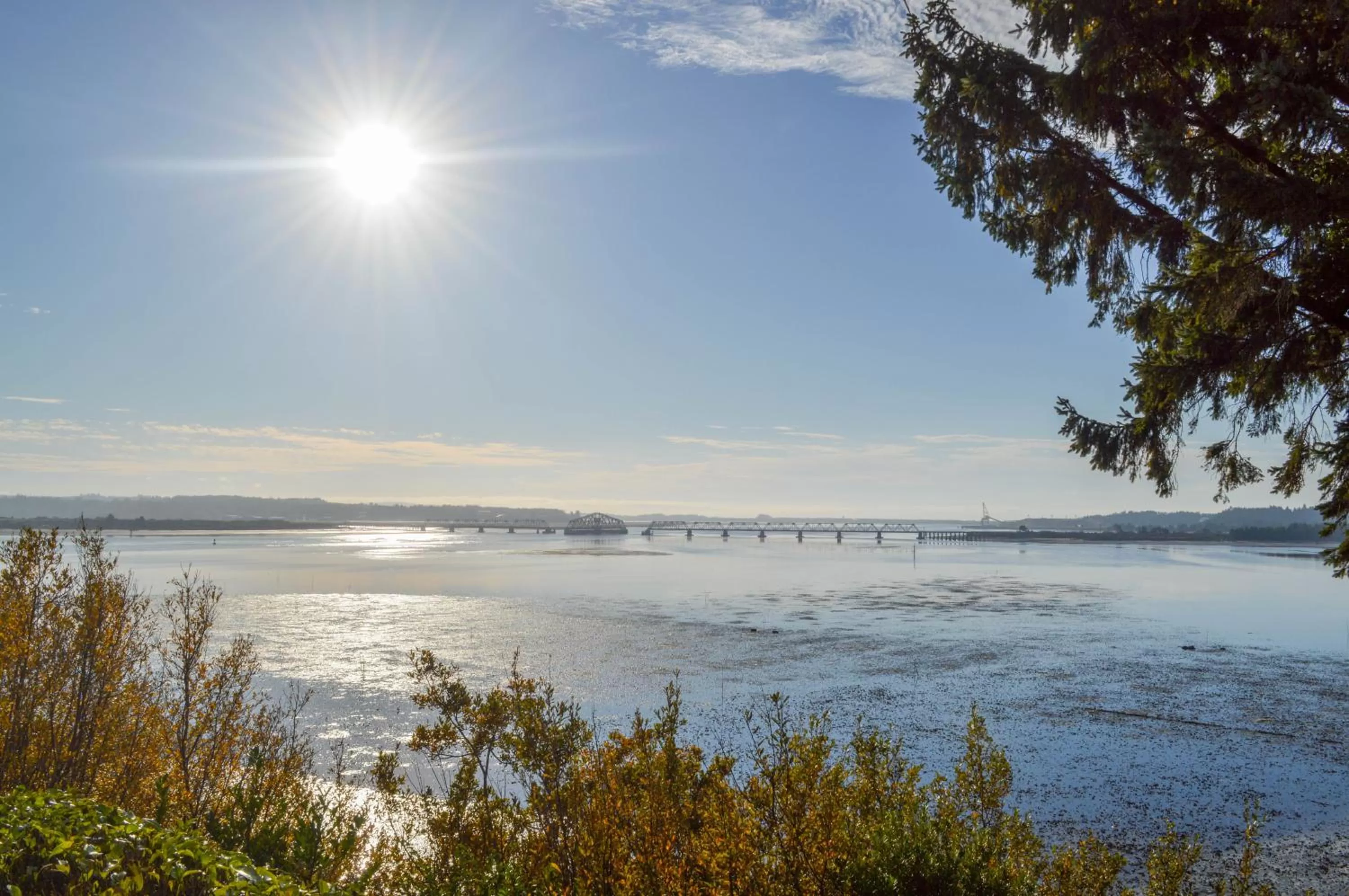 Day in Bay Bridge Motel