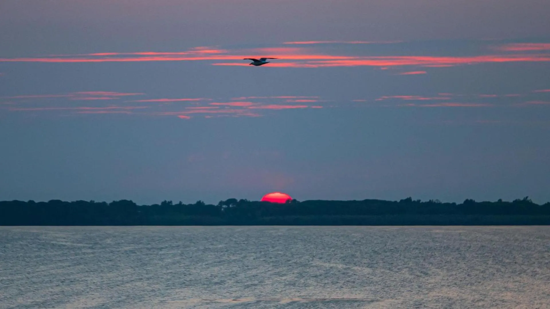 Natural landscape in Park Hotel Residence