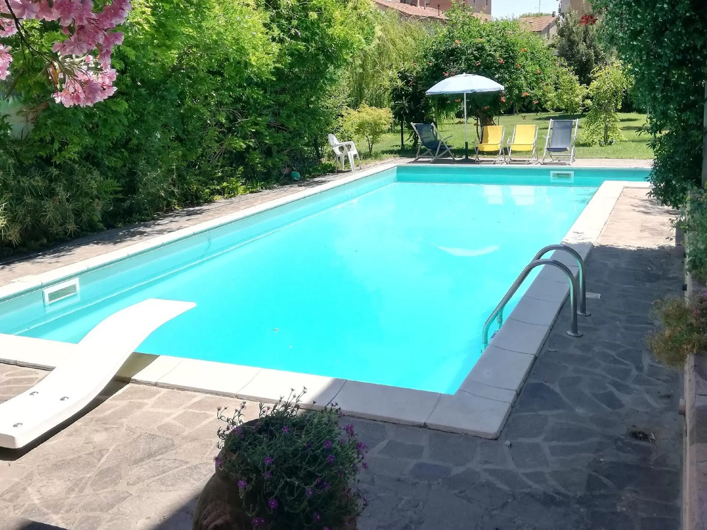 Garden, Swimming Pool in B&B Il Sognatore