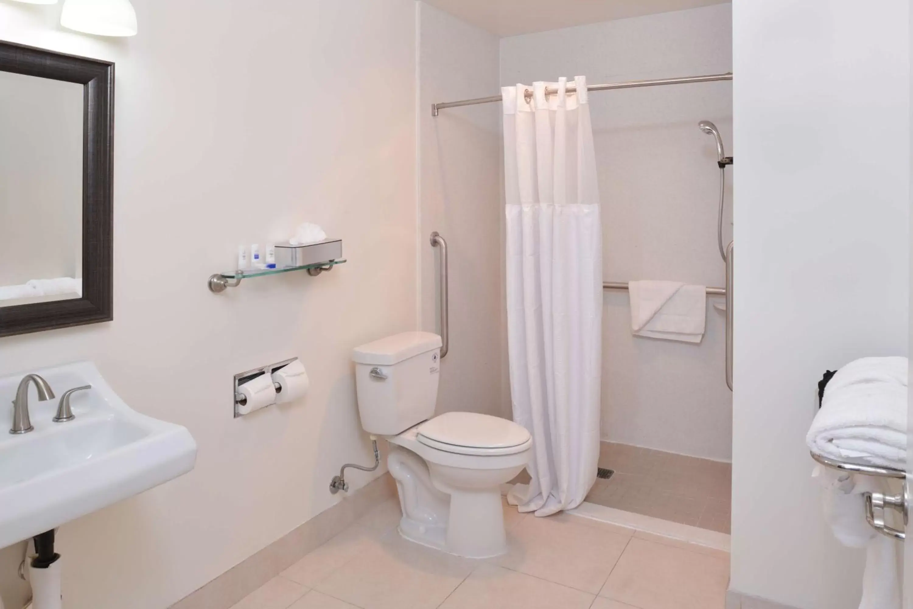 King Room with Roll-In Shower - Disability Access in Best Western Plus LA Mid-Town Hotel