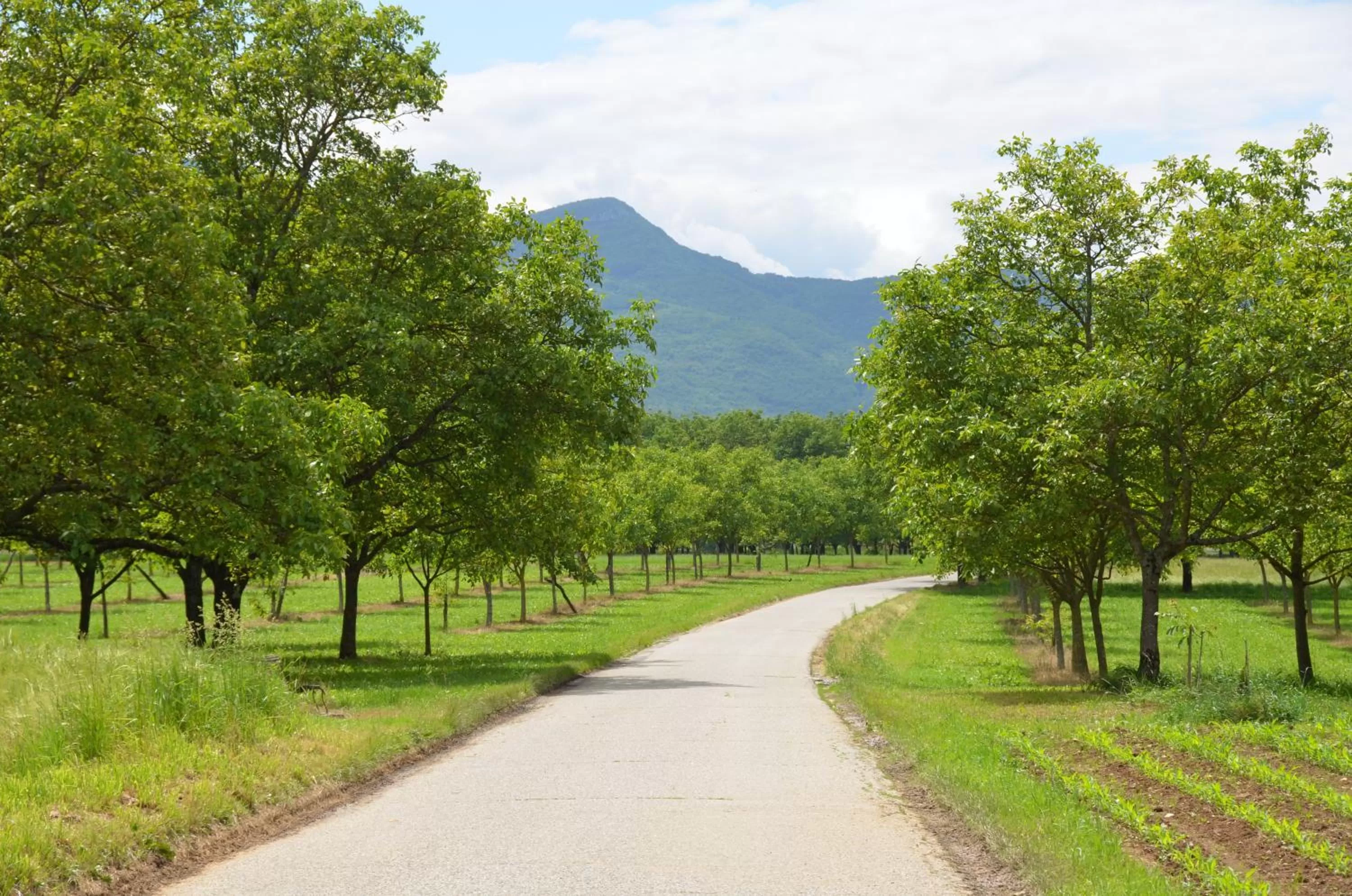 Neighbourhood in La Bastide de Fontaille