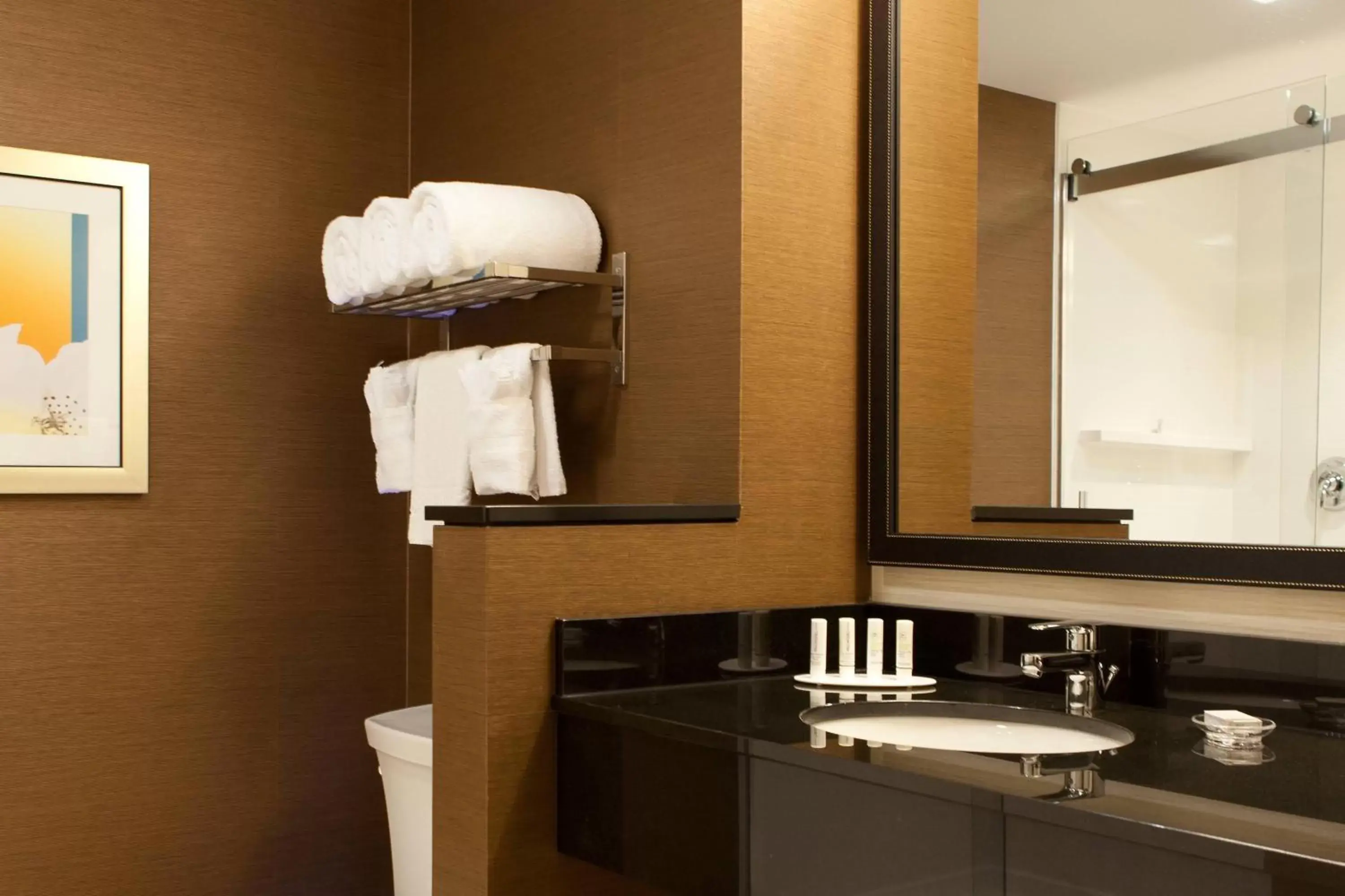 Bathroom in Fairfield Inn & Suites by Marriott Lethbridge
