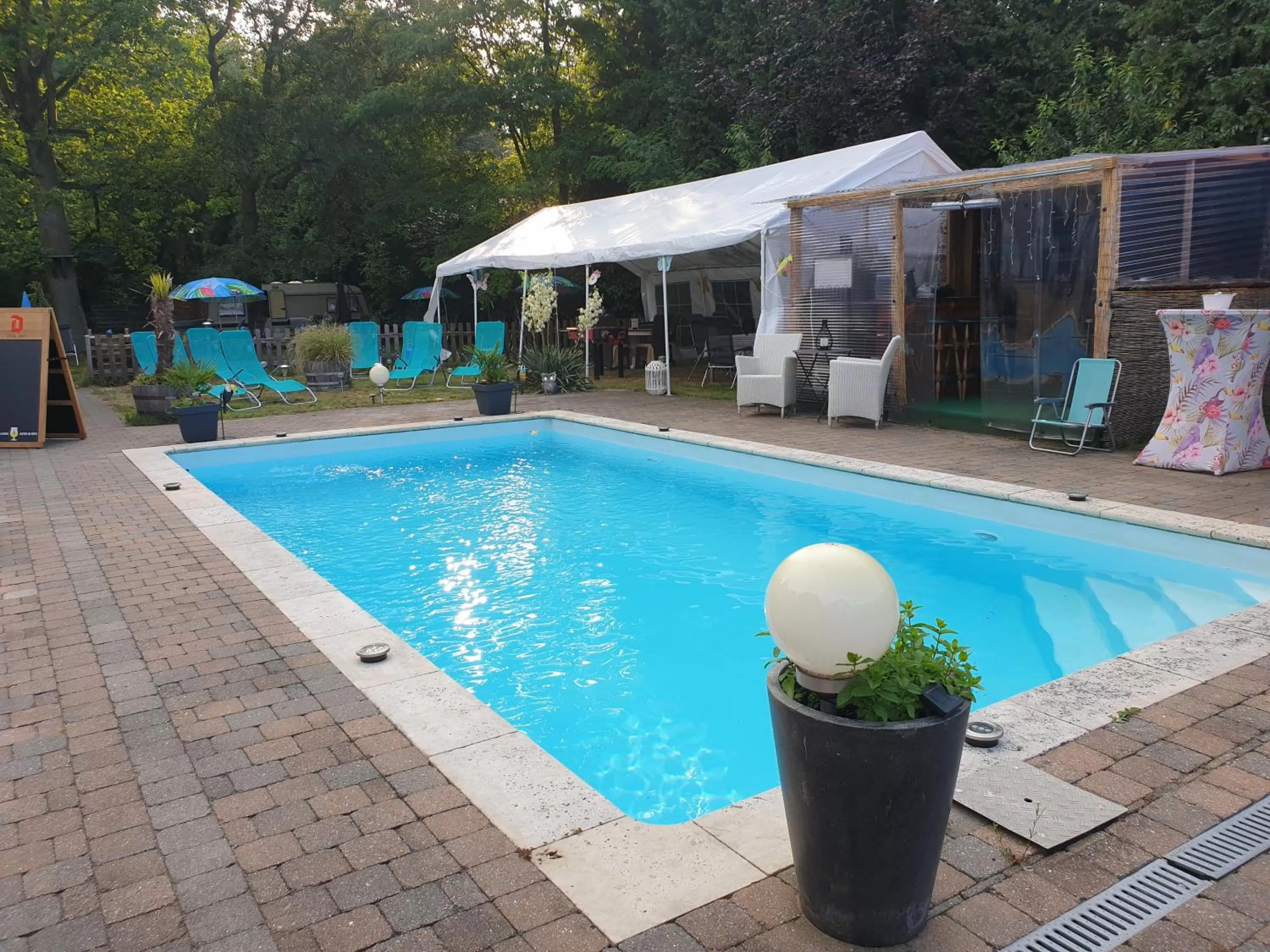 Swimming pool in B&B Lazy Life